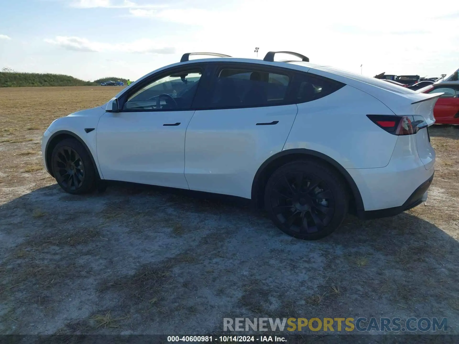 14 Photograph of a damaged car 7SAYGDEE2PA024869 TESLA MODEL Y 2023