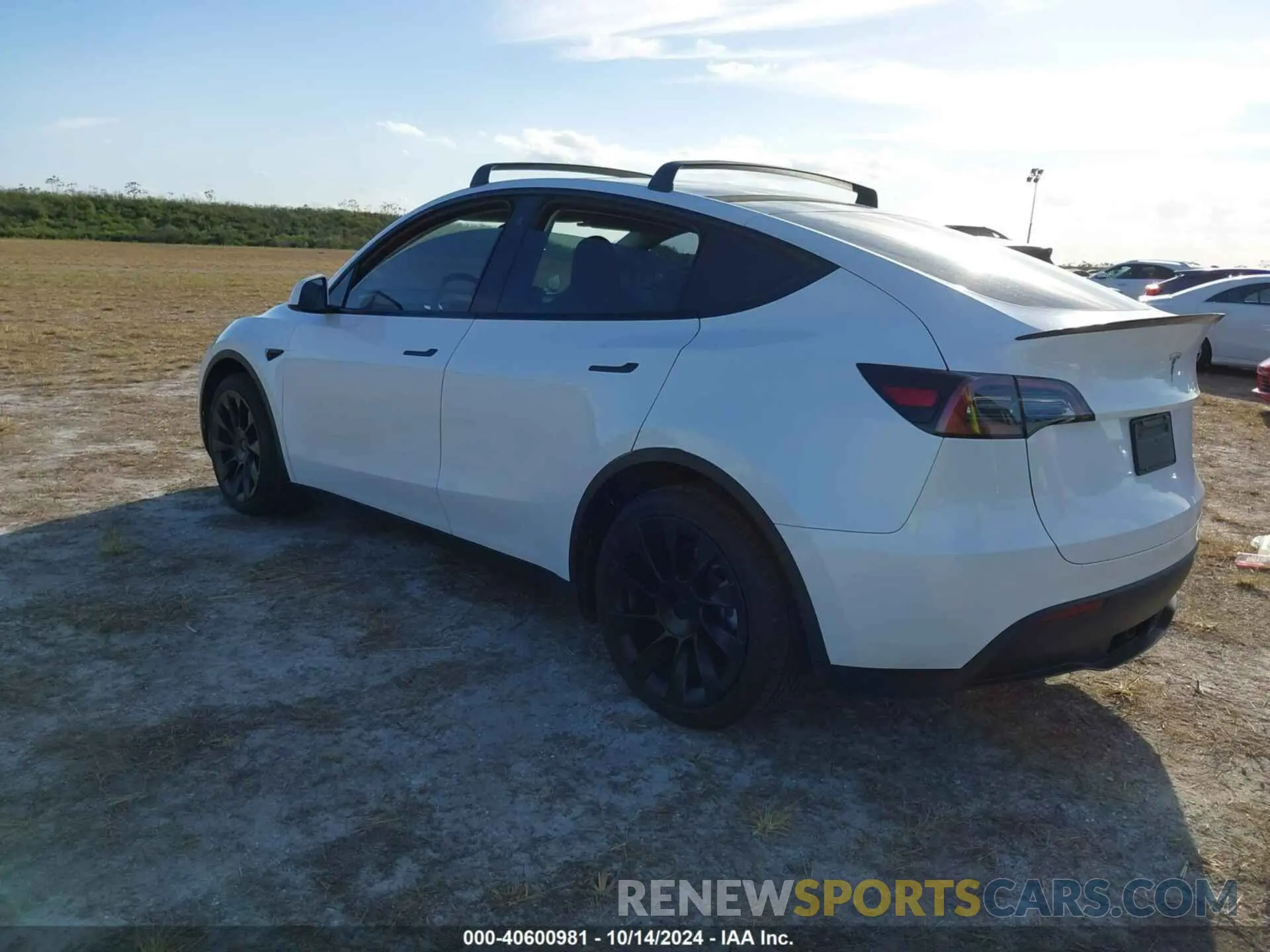 3 Photograph of a damaged car 7SAYGDEE2PA024869 TESLA MODEL Y 2023