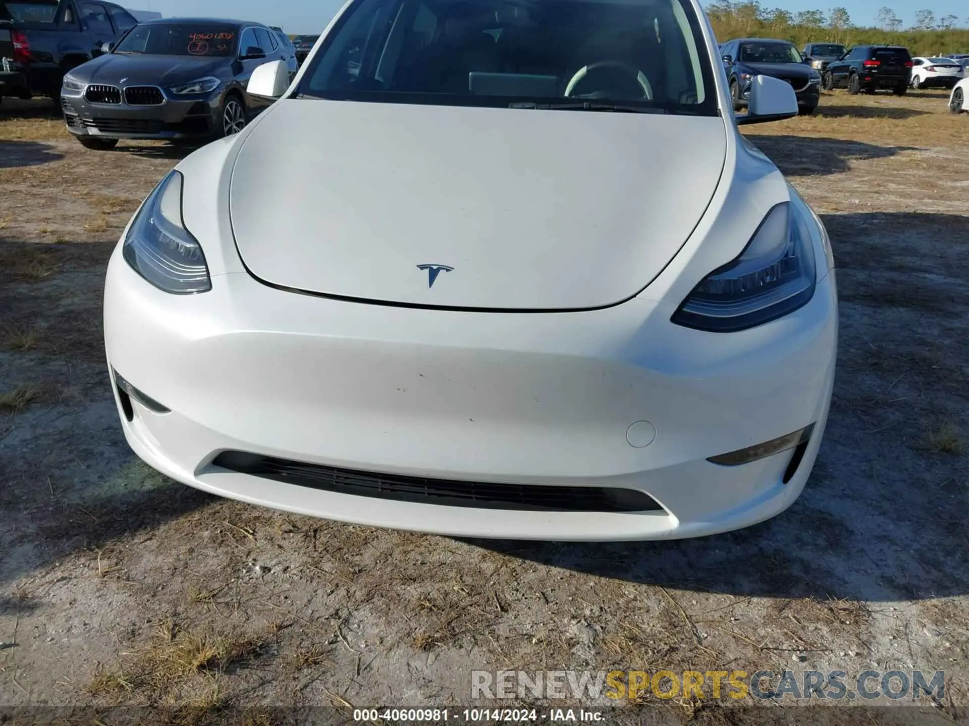 6 Photograph of a damaged car 7SAYGDEE2PA024869 TESLA MODEL Y 2023