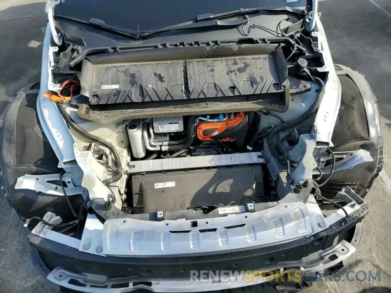 12 Photograph of a damaged car 7SAYGDEE2PA025536 TESLA MODEL Y 2023