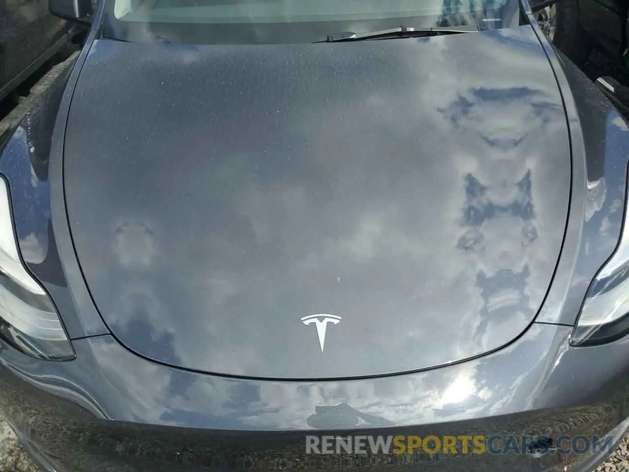 12 Photograph of a damaged car 7SAYGDEE2PA075241 TESLA MODEL Y 2023