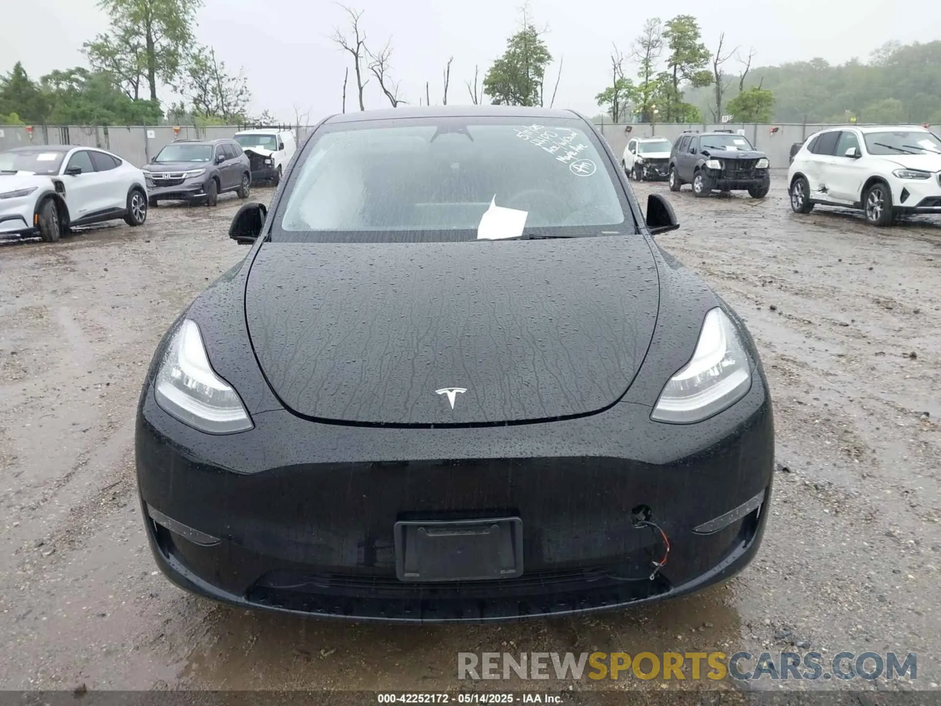 12 Photograph of a damaged car 7SAYGDEE2PA105631 TESLA MODEL Y 2023