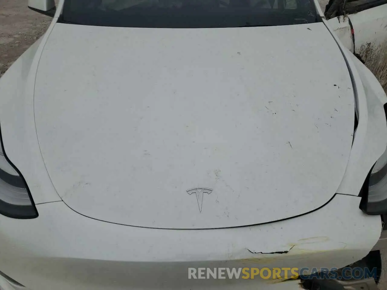 13 Photograph of a damaged car 7SAYGDEE2PA145160 TESLA MODEL Y 2023