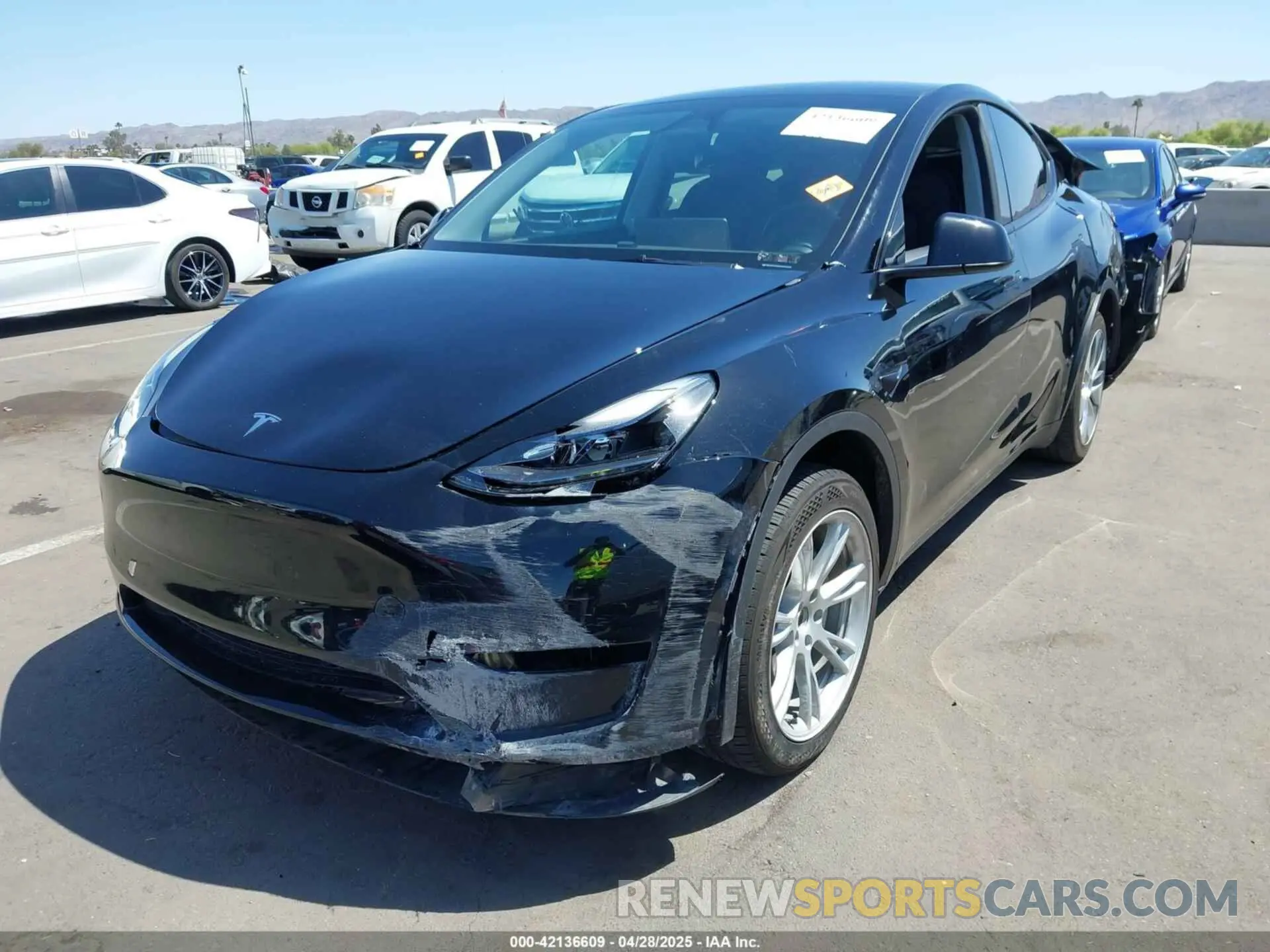 11 Photograph of a damaged car 7SAYGDEE2PA169846 TESLA MODEL Y 2023