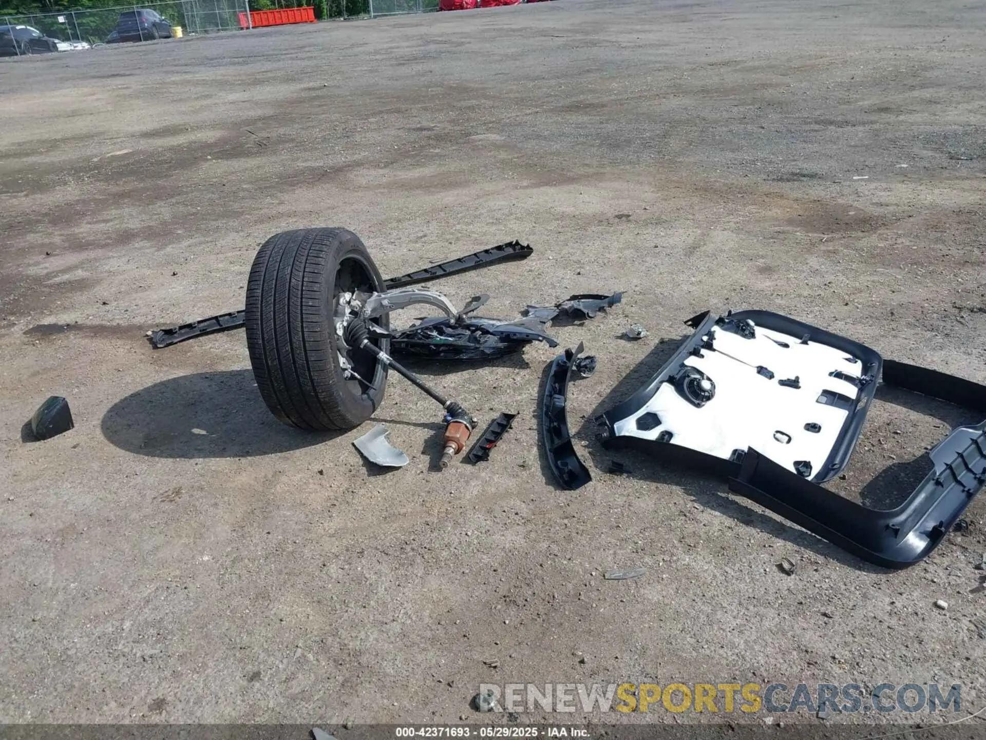 12 Photograph of a damaged car 7SAYGDEE2PA190227 TESLA MODEL Y 2023