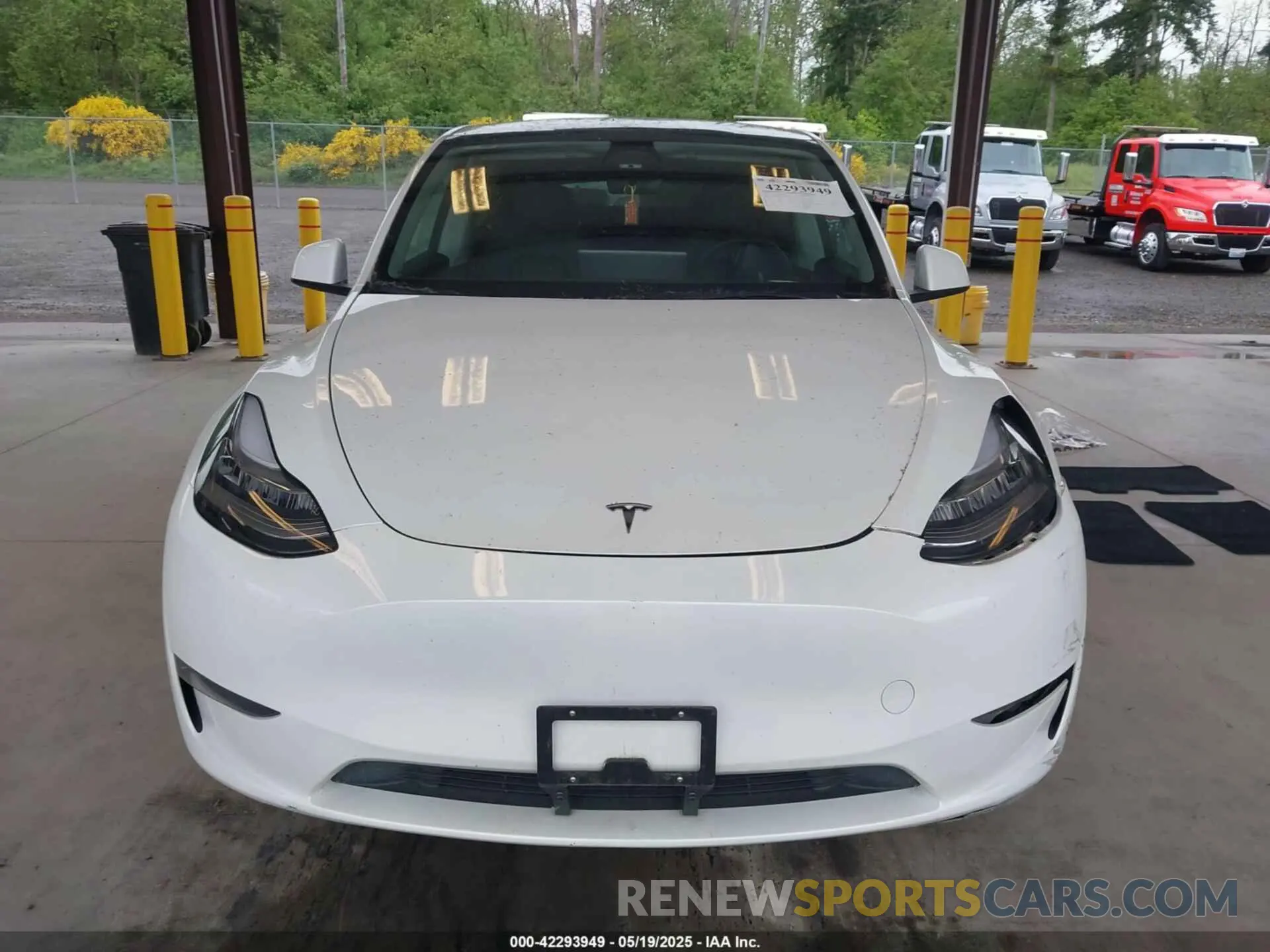 12 Photograph of a damaged car 7SAYGDEE2PF589447 TESLA MODEL Y 2023
