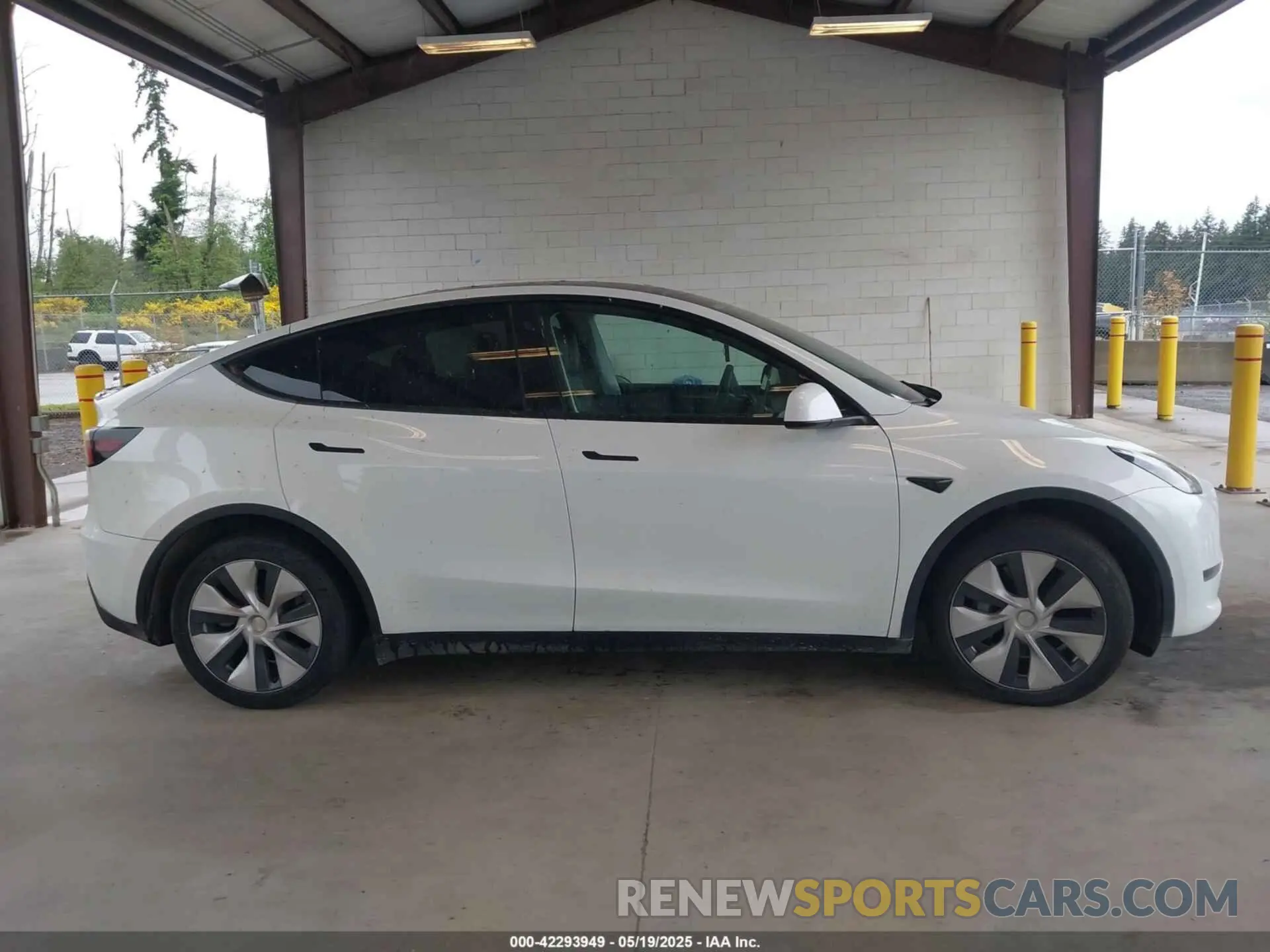 13 Photograph of a damaged car 7SAYGDEE2PF589447 TESLA MODEL Y 2023