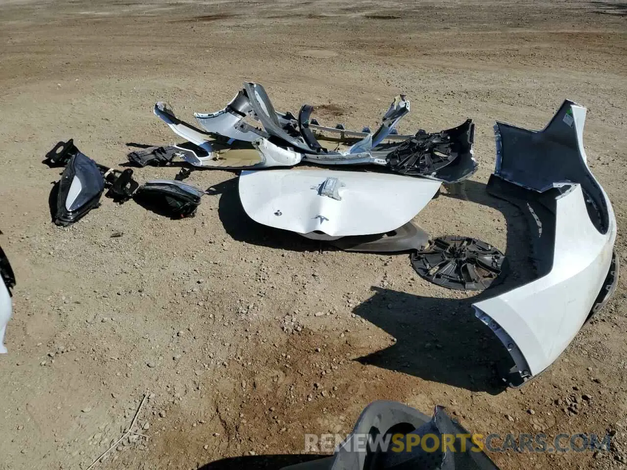 13 Photograph of a damaged car 7SAYGDEE2PF624603 TESLA MODEL Y 2023