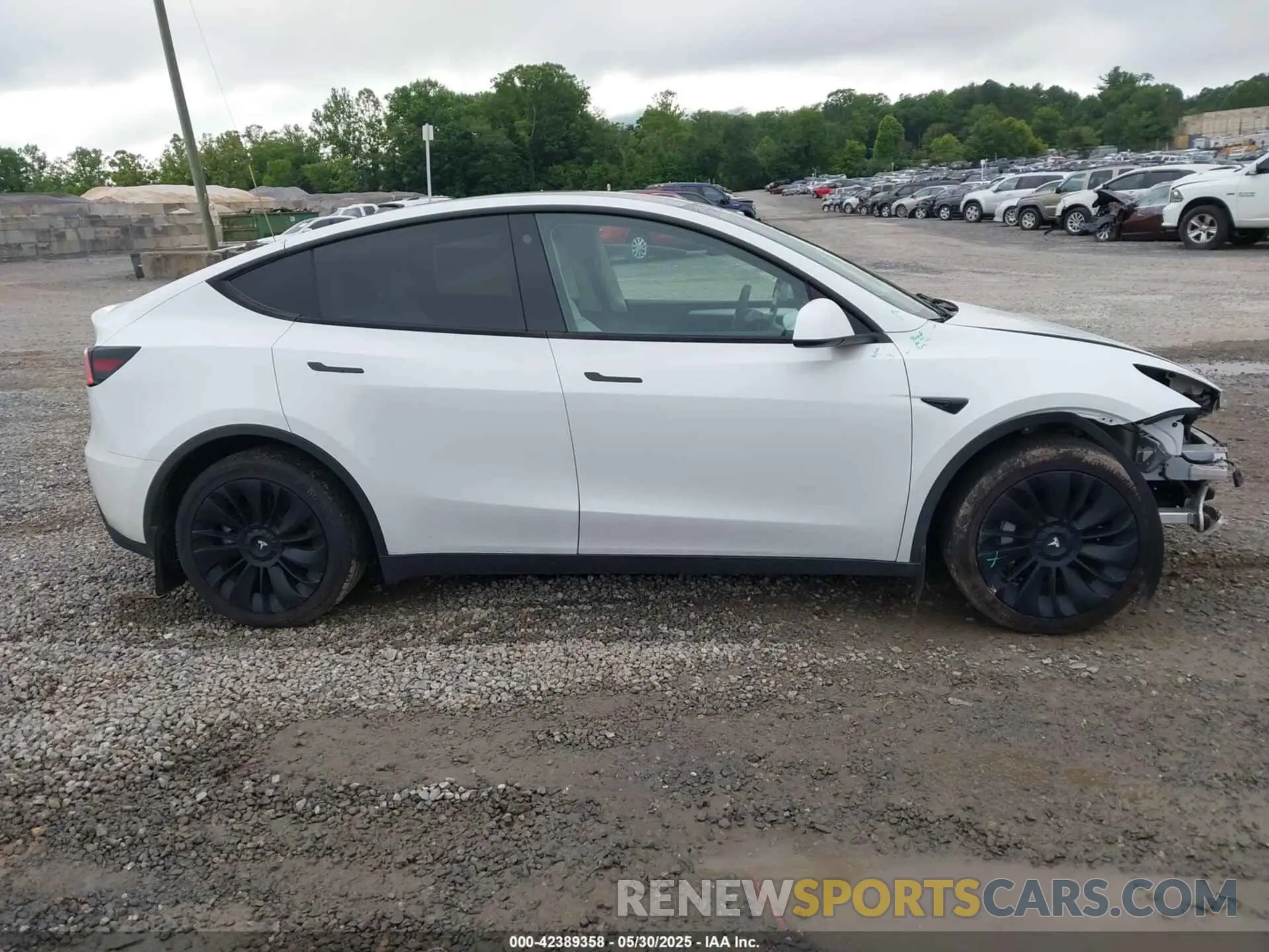 13 Photograph of a damaged car 7SAYGDEE2PF631955 TESLA MODEL Y 2023
