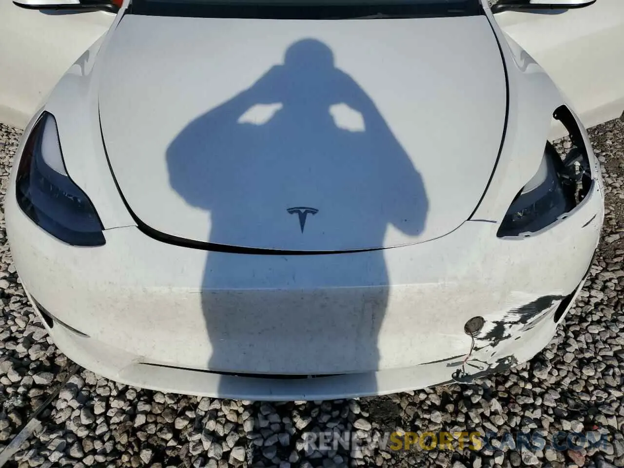 11 Photograph of a damaged car 7SAYGDEE2PF668360 TESLA MODEL Y 2023