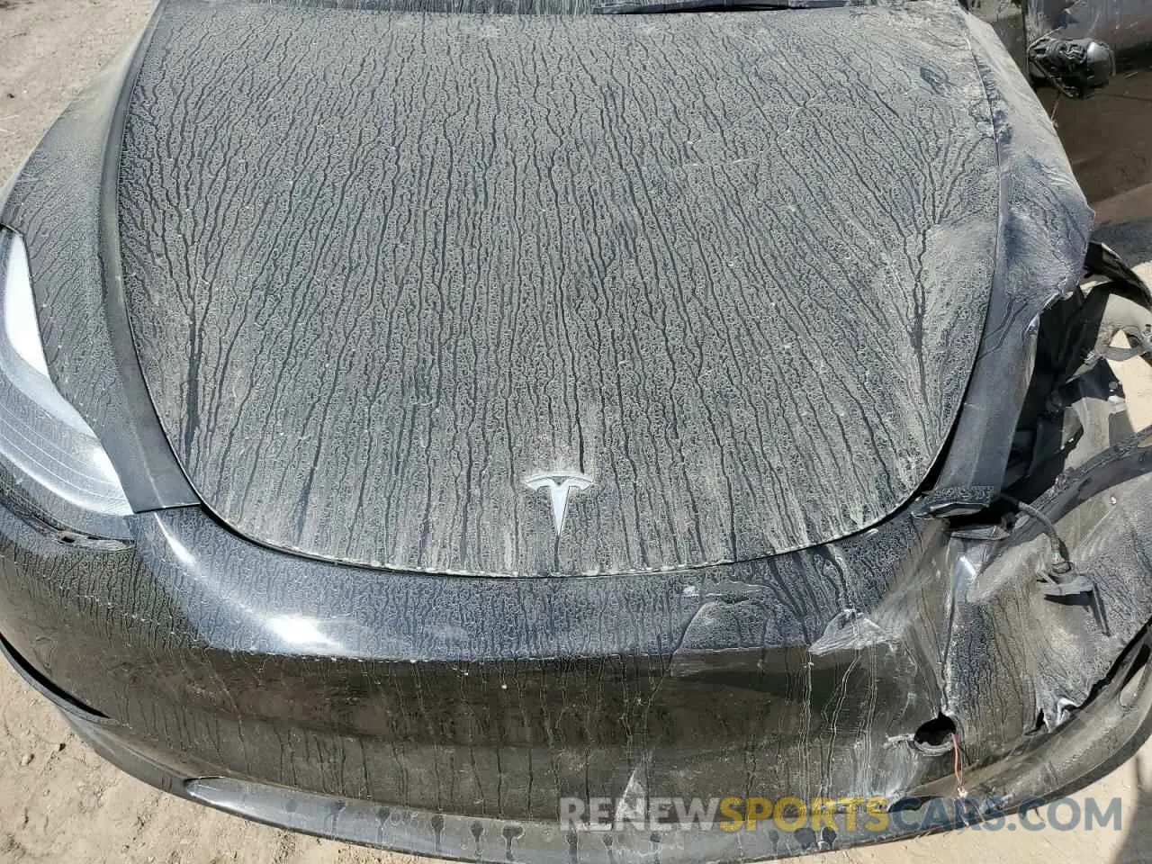 11 Photograph of a damaged car 7SAYGDEE2PF685966 TESLA MODEL Y 2023