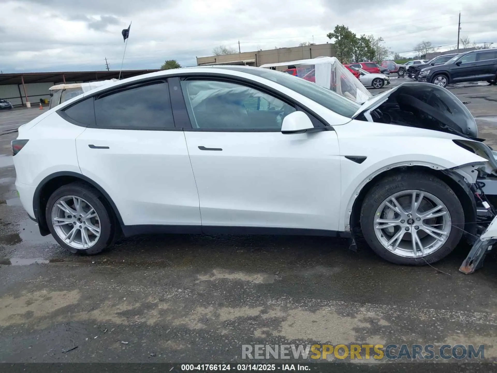 12 Photograph of a damaged car 7SAYGDEE2PF686311 TESLA MODEL Y 2023