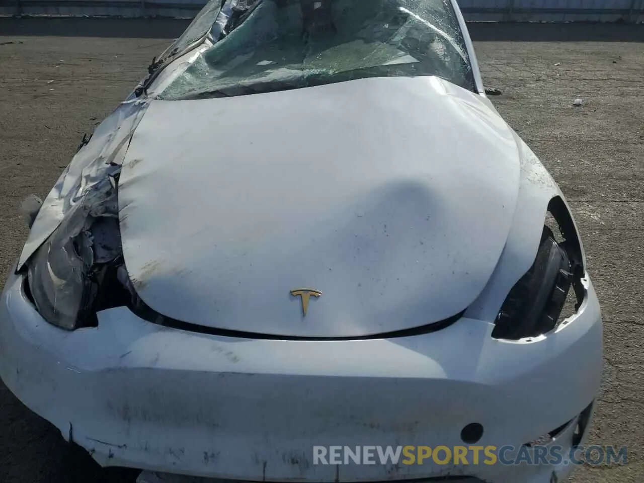 11 Photograph of a damaged car 7SAYGDEE2PF738780 TESLA MODEL Y 2023