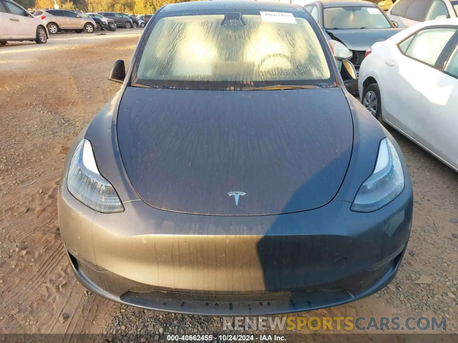 12 Photograph of a damaged car 7SAYGDEE2PF754624 TESLA MODEL Y 2023