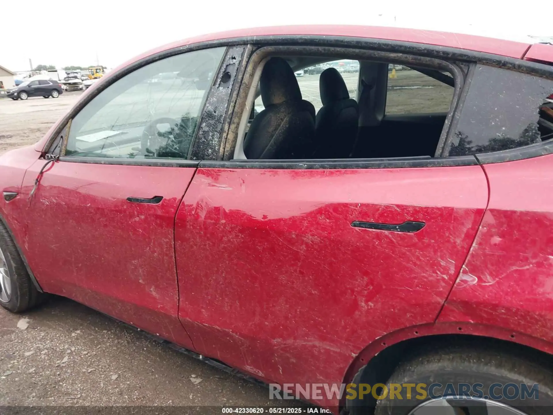 14 Photograph of a damaged car 7SAYGDEE2PF859115 TESLA MODEL Y 2023