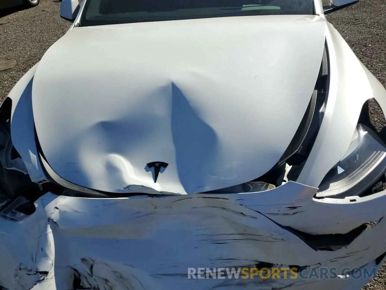 13 Photograph of a damaged car 7SAYGDEE2PF878117 TESLA MODEL Y 2023