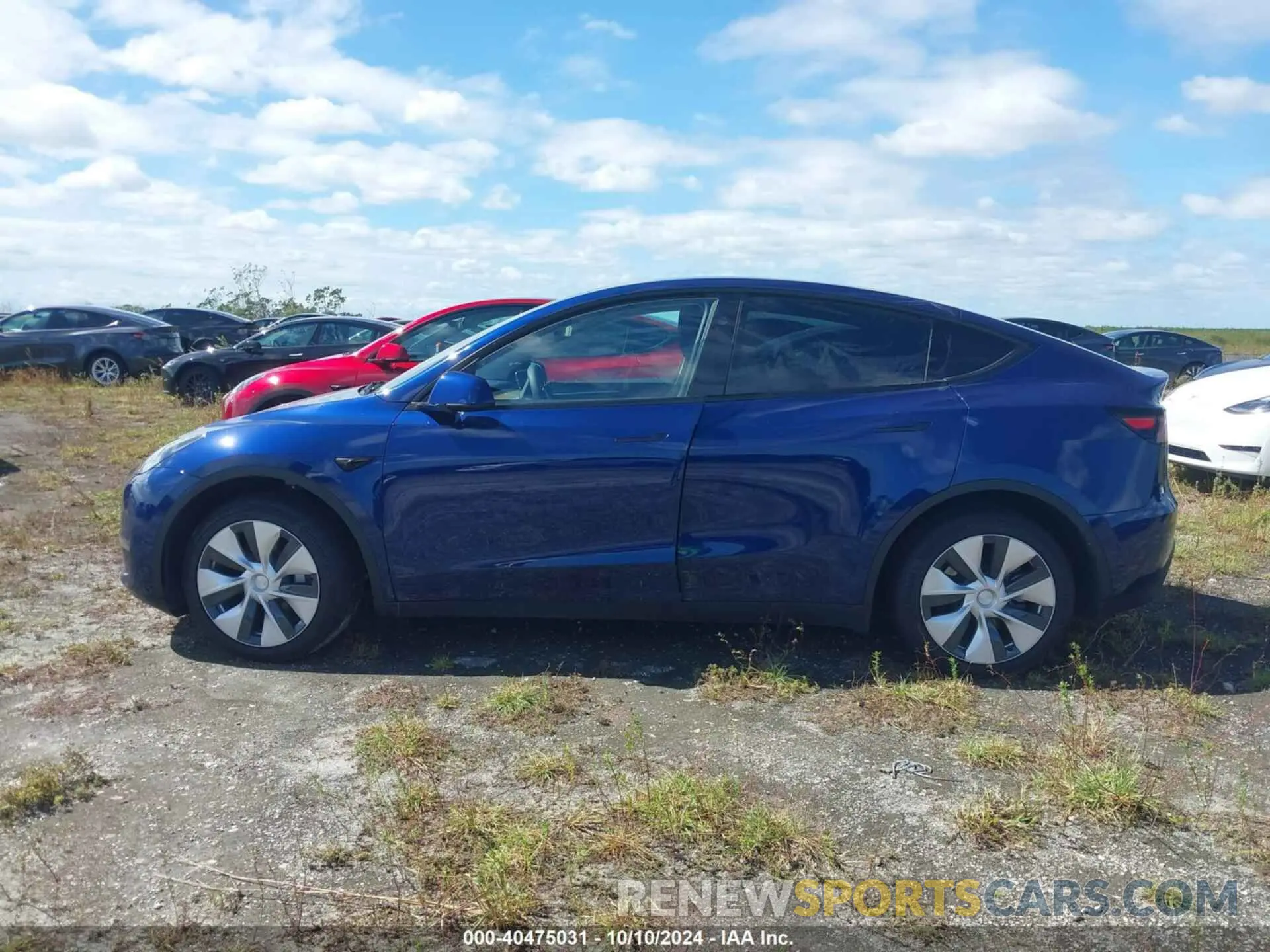 13 Photograph of a damaged car 7SAYGDEE2PF883334 TESLA MODEL Y 2023