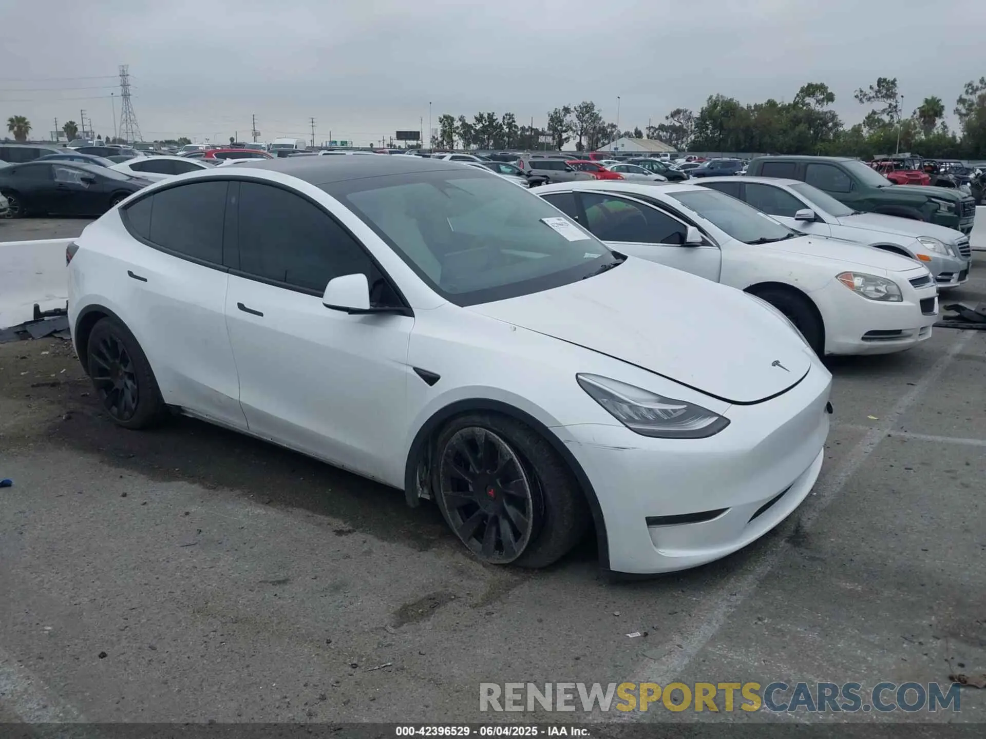 1 Photograph of a damaged car 7SAYGDEE3PA055497 TESLA MODEL Y 2023