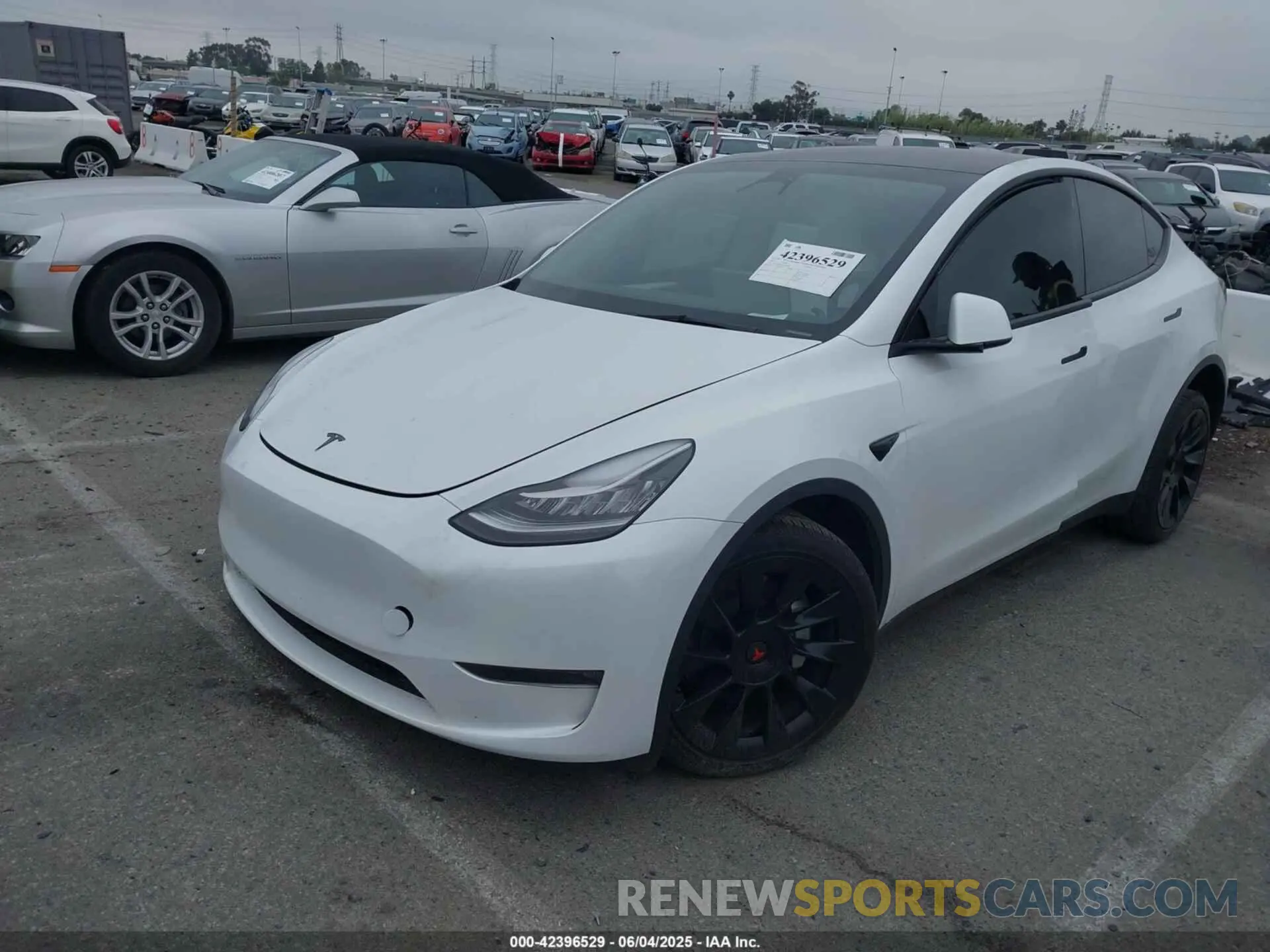 2 Photograph of a damaged car 7SAYGDEE3PA055497 TESLA MODEL Y 2023