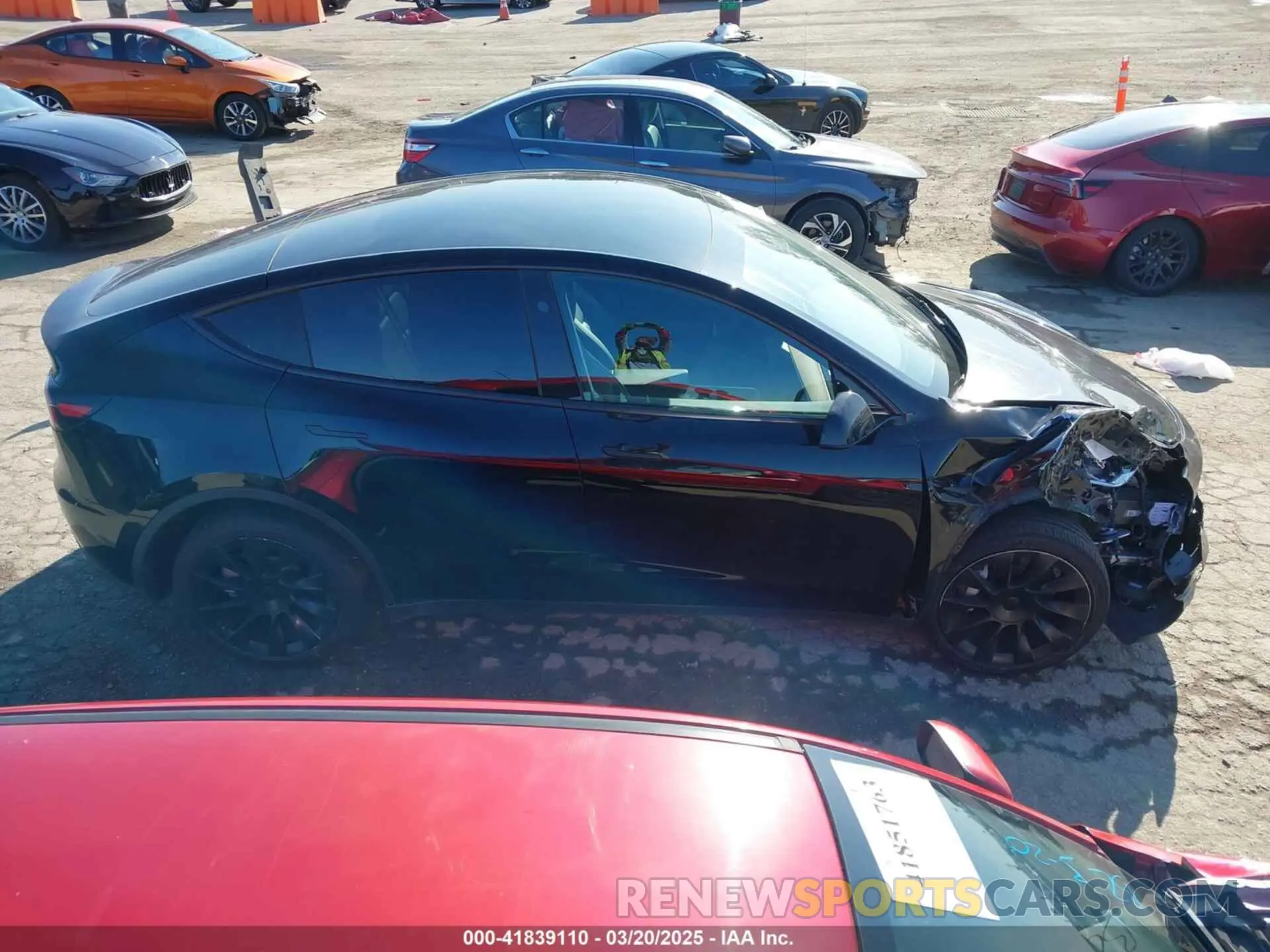 13 Photograph of a damaged car 7SAYGDEE3PA131056 TESLA MODEL Y 2023