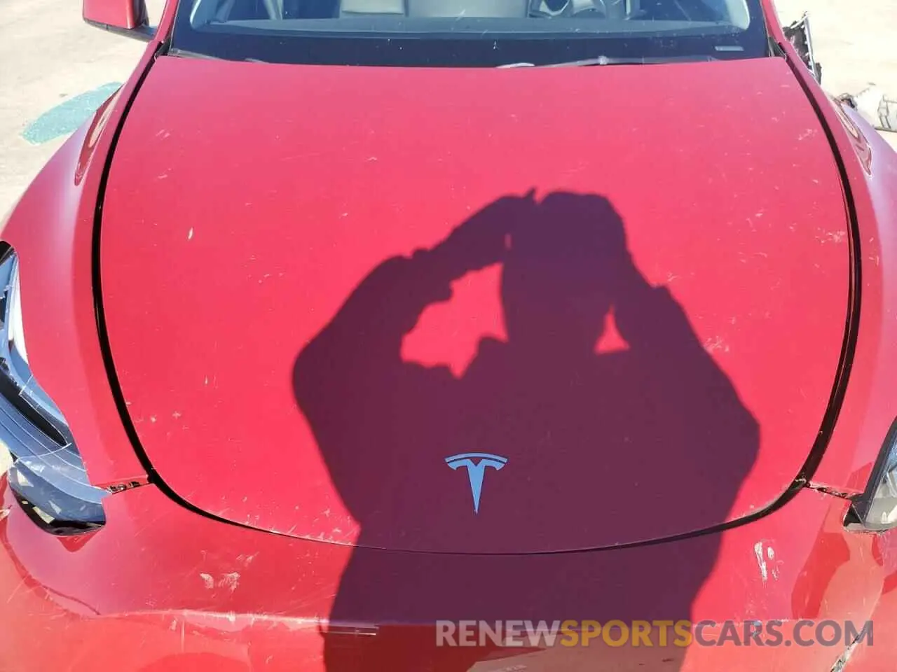 13 Photograph of a damaged car 7SAYGDEE3PA155261 TESLA MODEL Y 2023