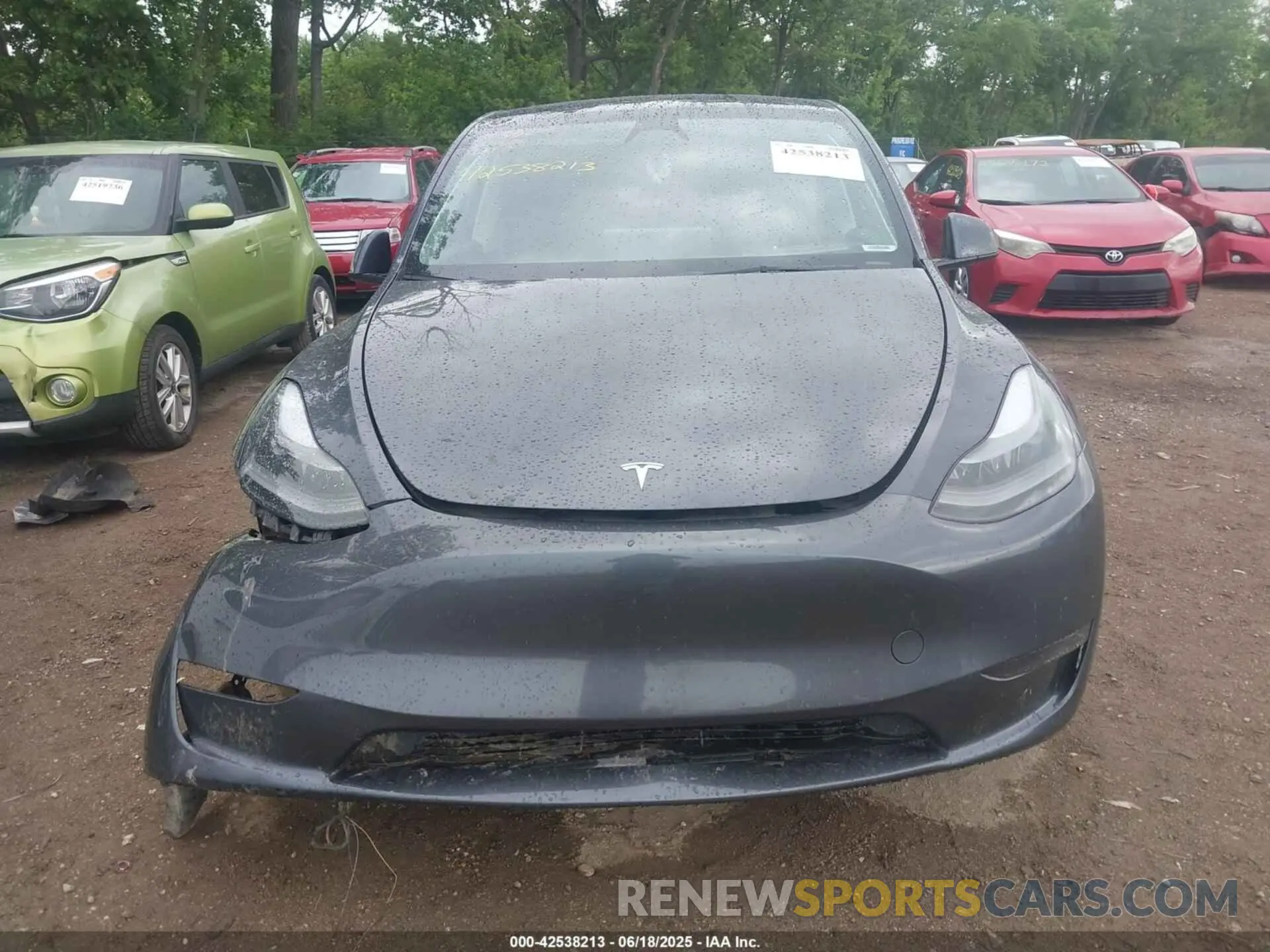 11 Photograph of a damaged car 7SAYGDEE3PF804236 TESLA MODEL Y 2023