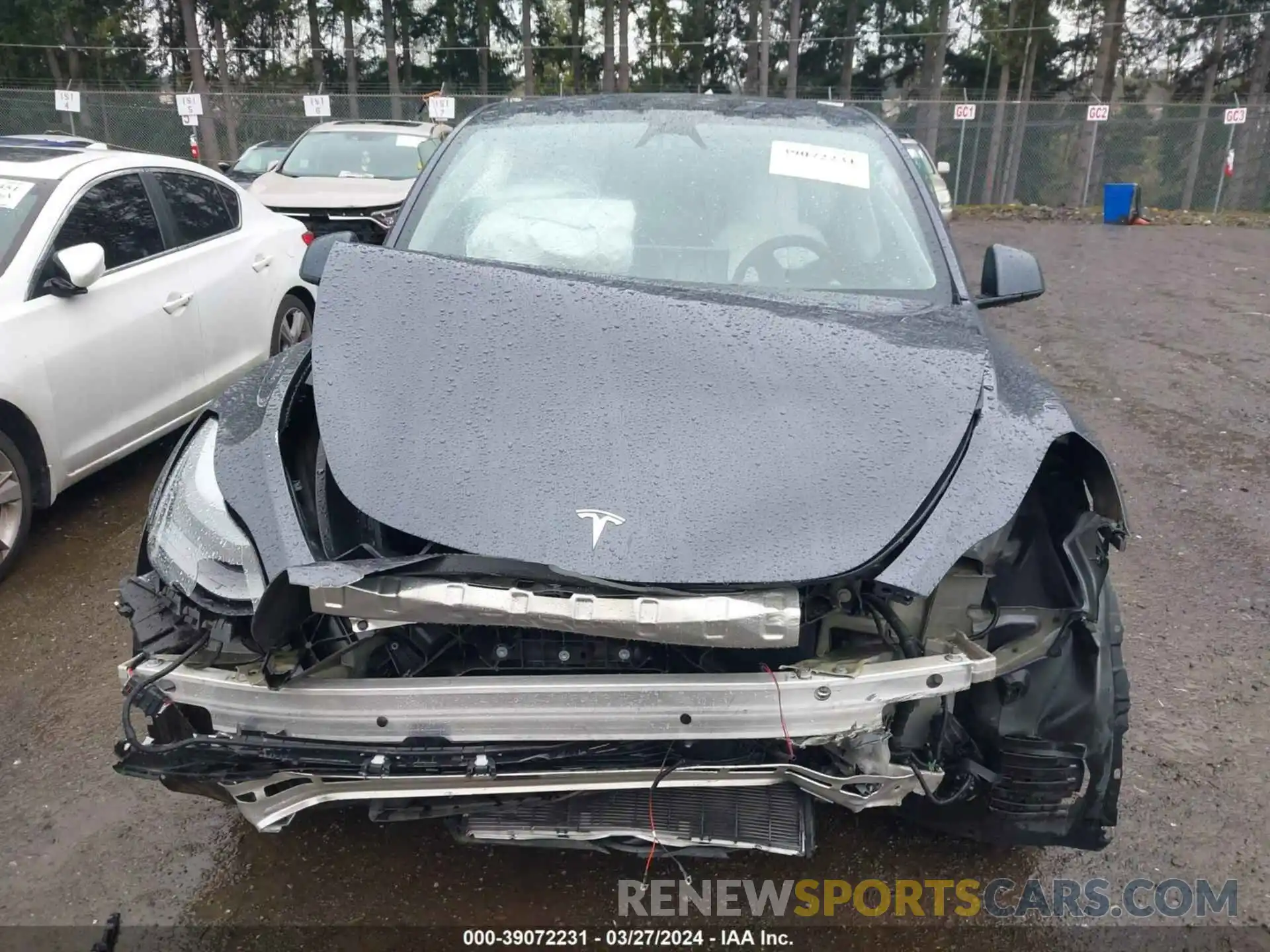 12 Photograph of a damaged car 7SAYGDEE3PF837608 TESLA MODEL Y 2023