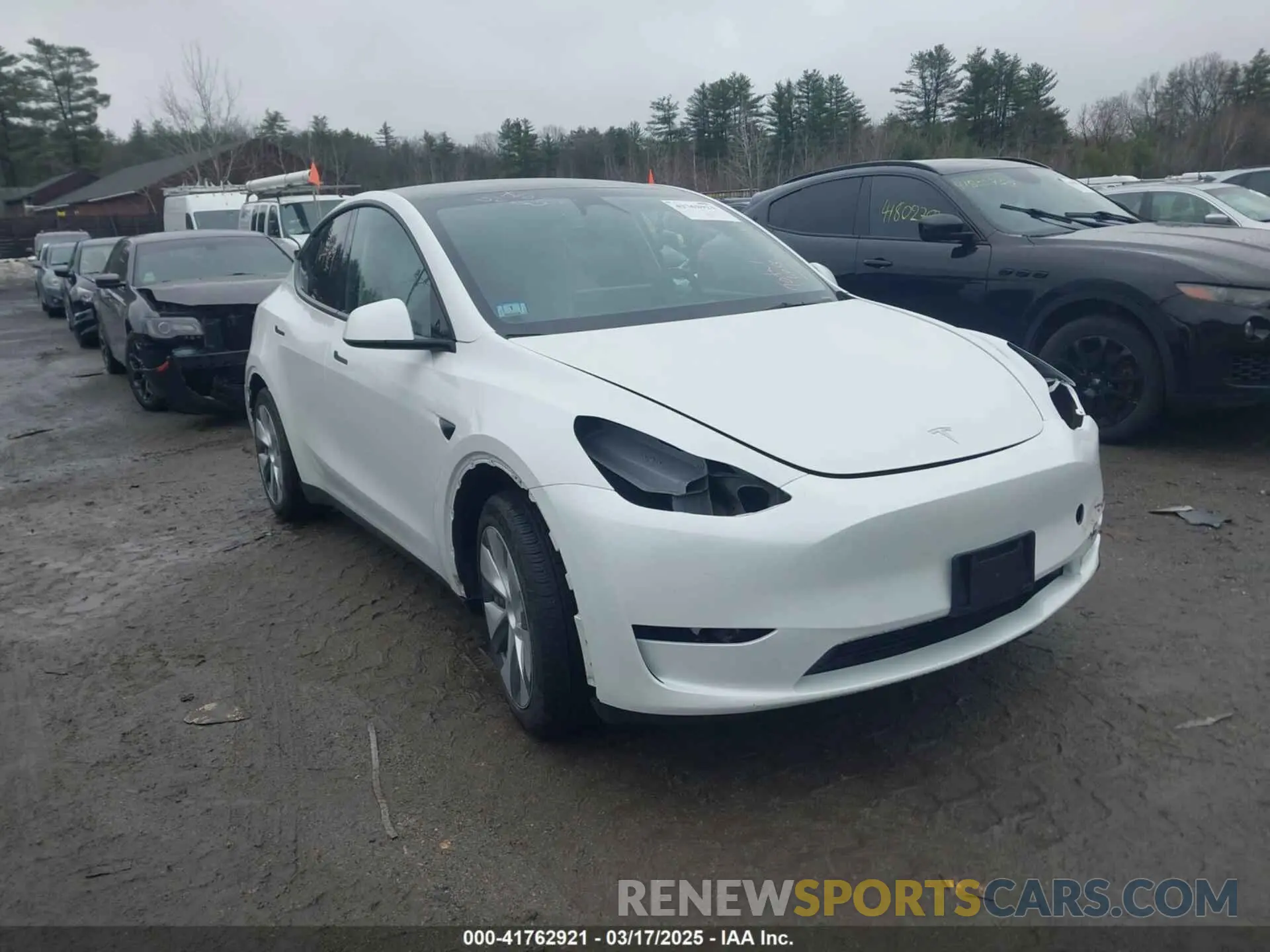 14 Photograph of a damaged car 7SAYGDEE3PF857633 TESLA MODEL Y 2023