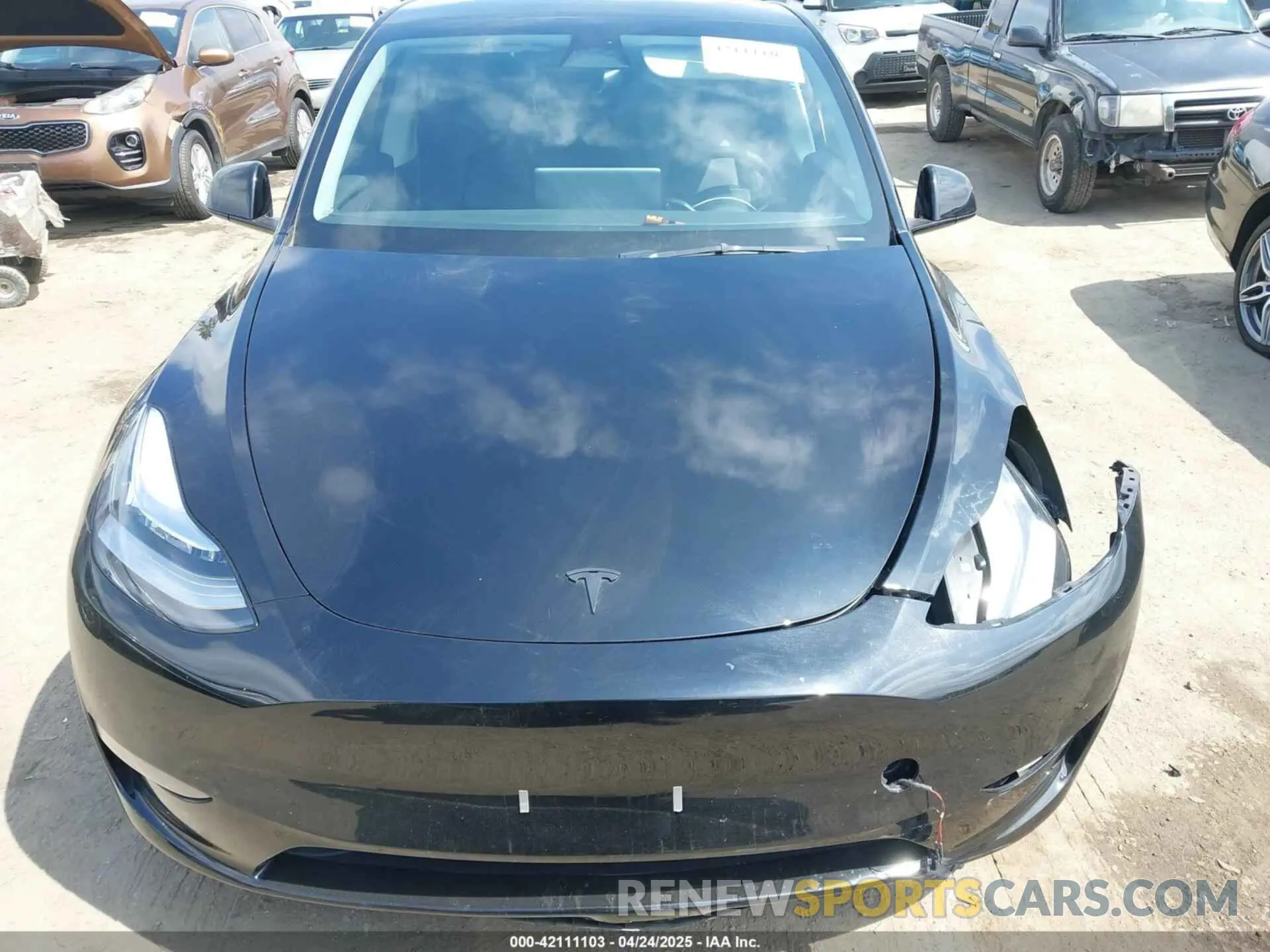 12 Photograph of a damaged car 7SAYGDEE4PA073166 TESLA MODEL Y 2023