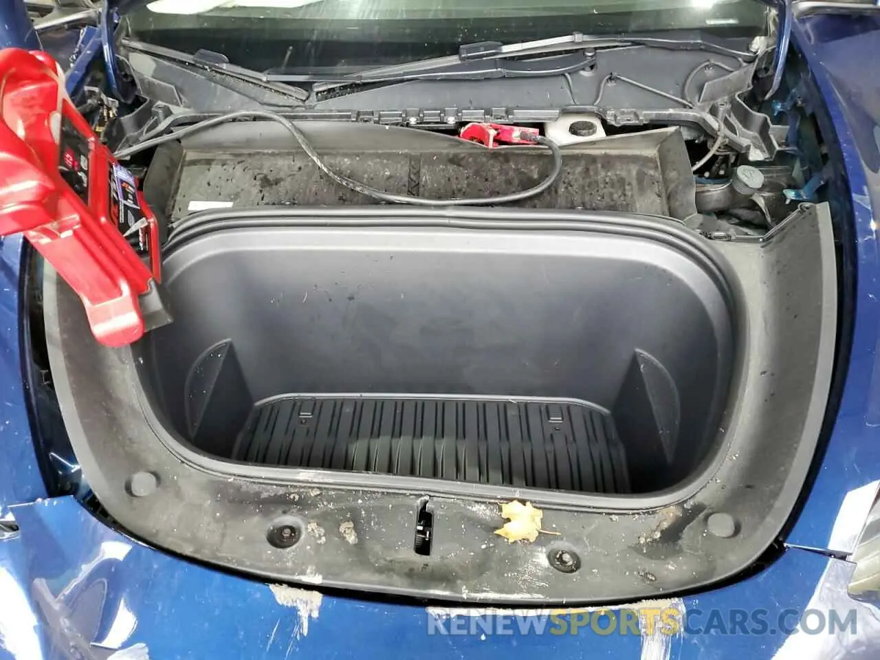 13 Photograph of a damaged car 7SAYGDEE4PA115500 TESLA MODEL Y 2023