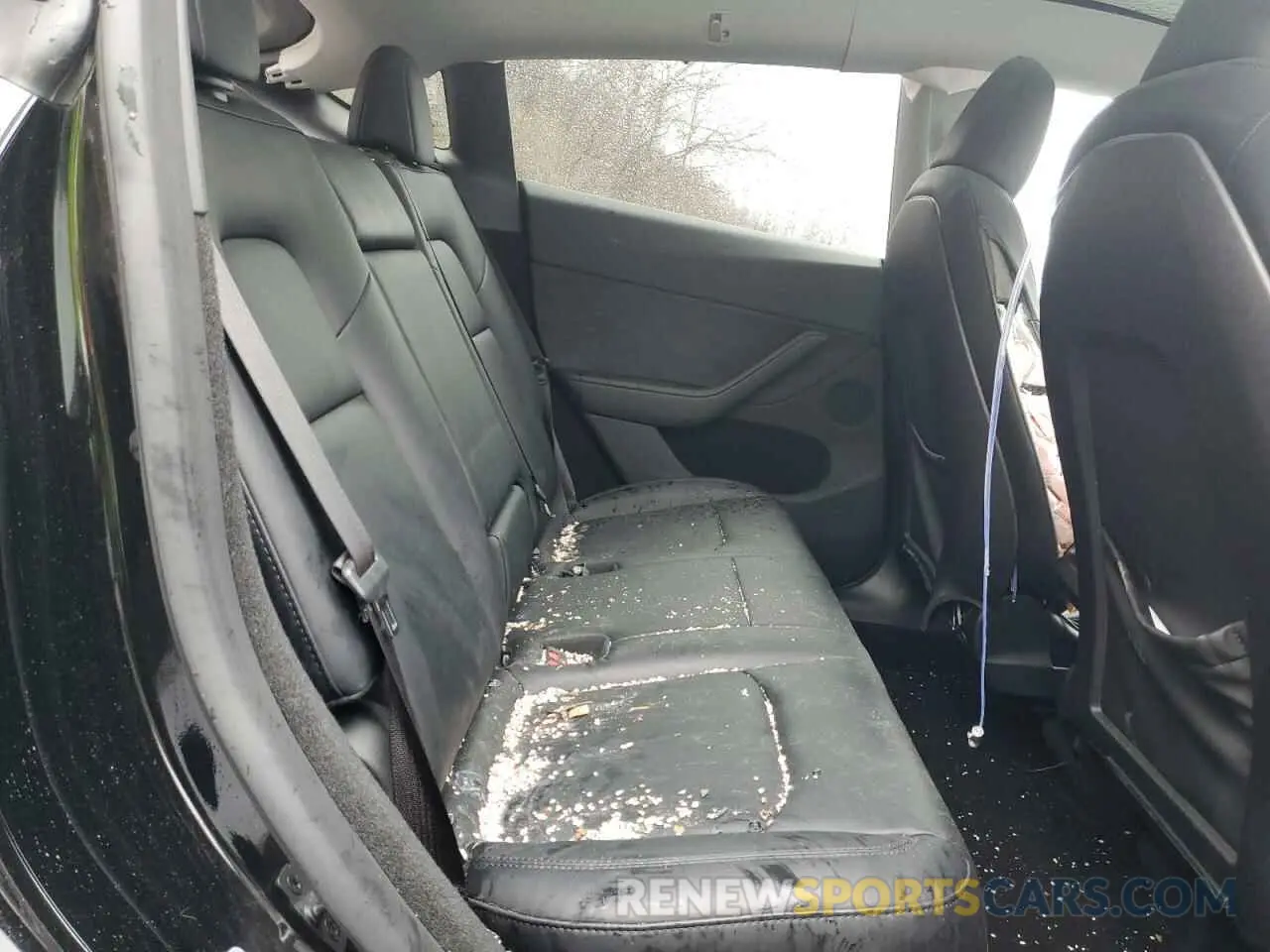 11 Photograph of a damaged car 7SAYGDEE4PA185207 TESLA MODEL Y 2023