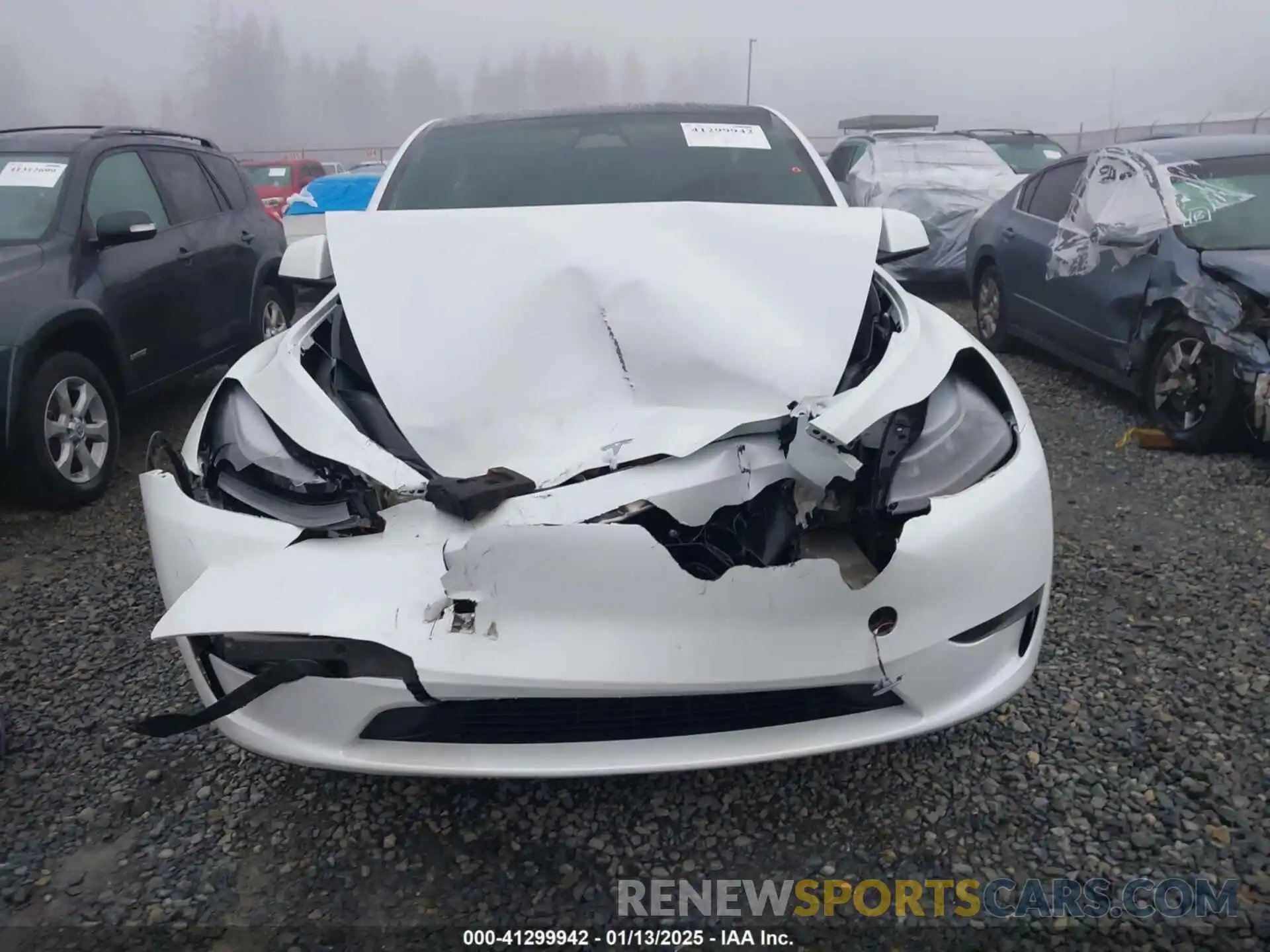 12 Photograph of a damaged car 7SAYGDEE4PF608614 TESLA MODEL Y 2023