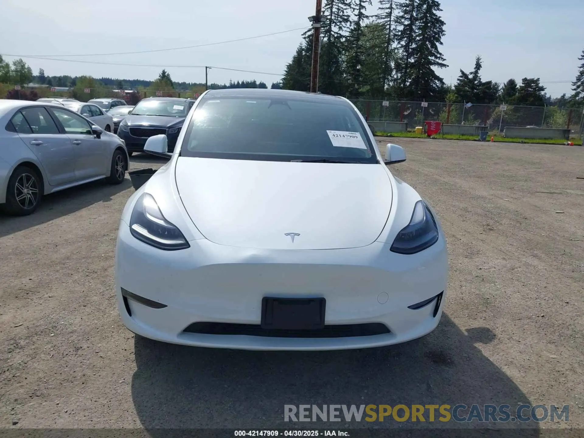 13 Photograph of a damaged car 7SAYGDEE4PF676167 TESLA MODEL Y 2023