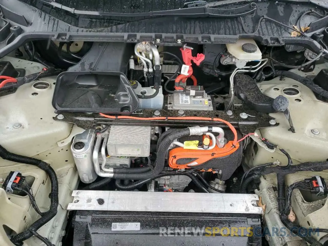 11 Photograph of a damaged car 7SAYGDEE4PF797653 TESLA MODEL Y 2023