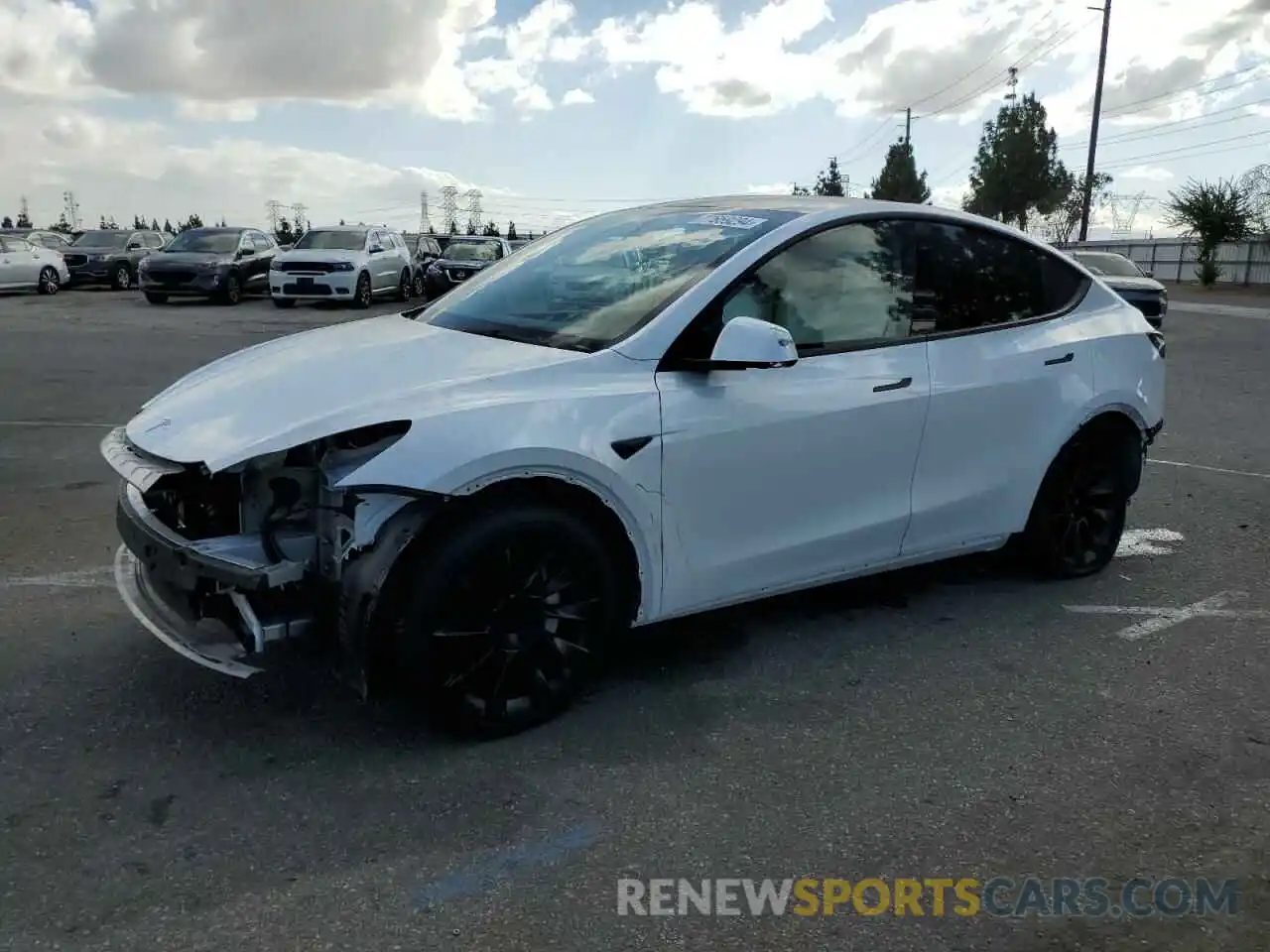 1 Photograph of a damaged car 7SAYGDEE5PA081955 TESLA MODEL Y 2023