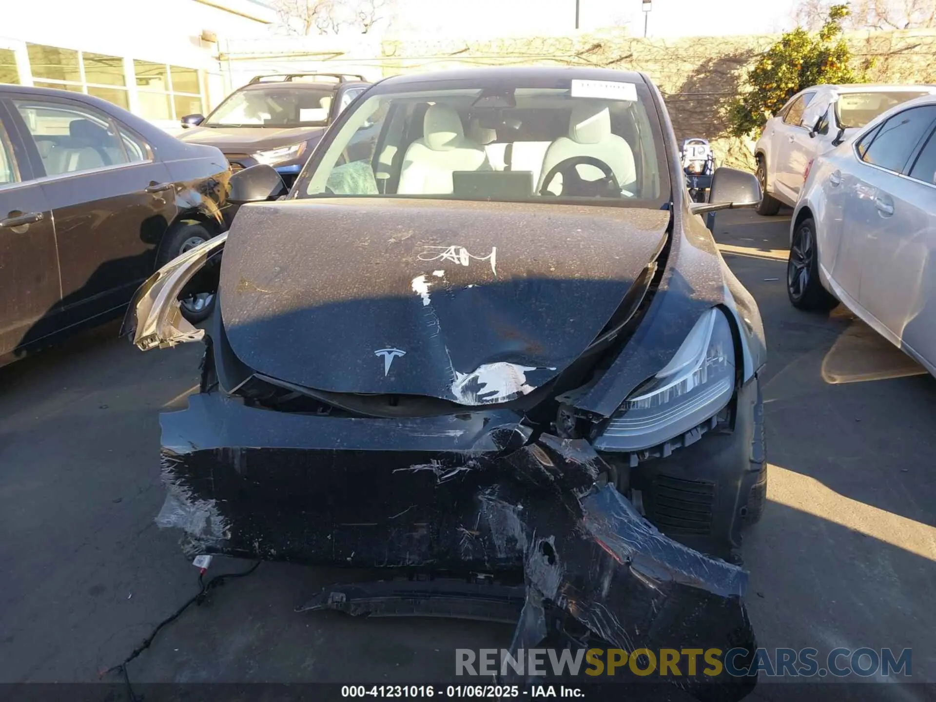 12 Photograph of a damaged car 7SAYGDEE5PA105834 TESLA MODEL Y 2023