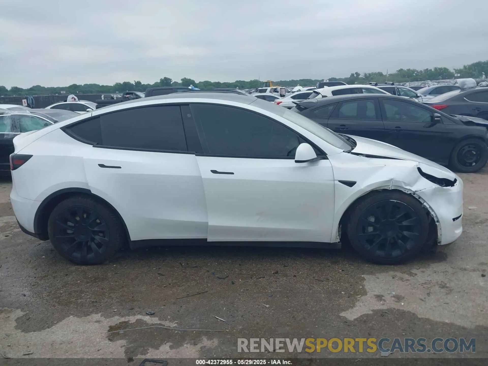 13 Photograph of a damaged car 7SAYGDEE5PA109334 TESLA MODEL Y 2023