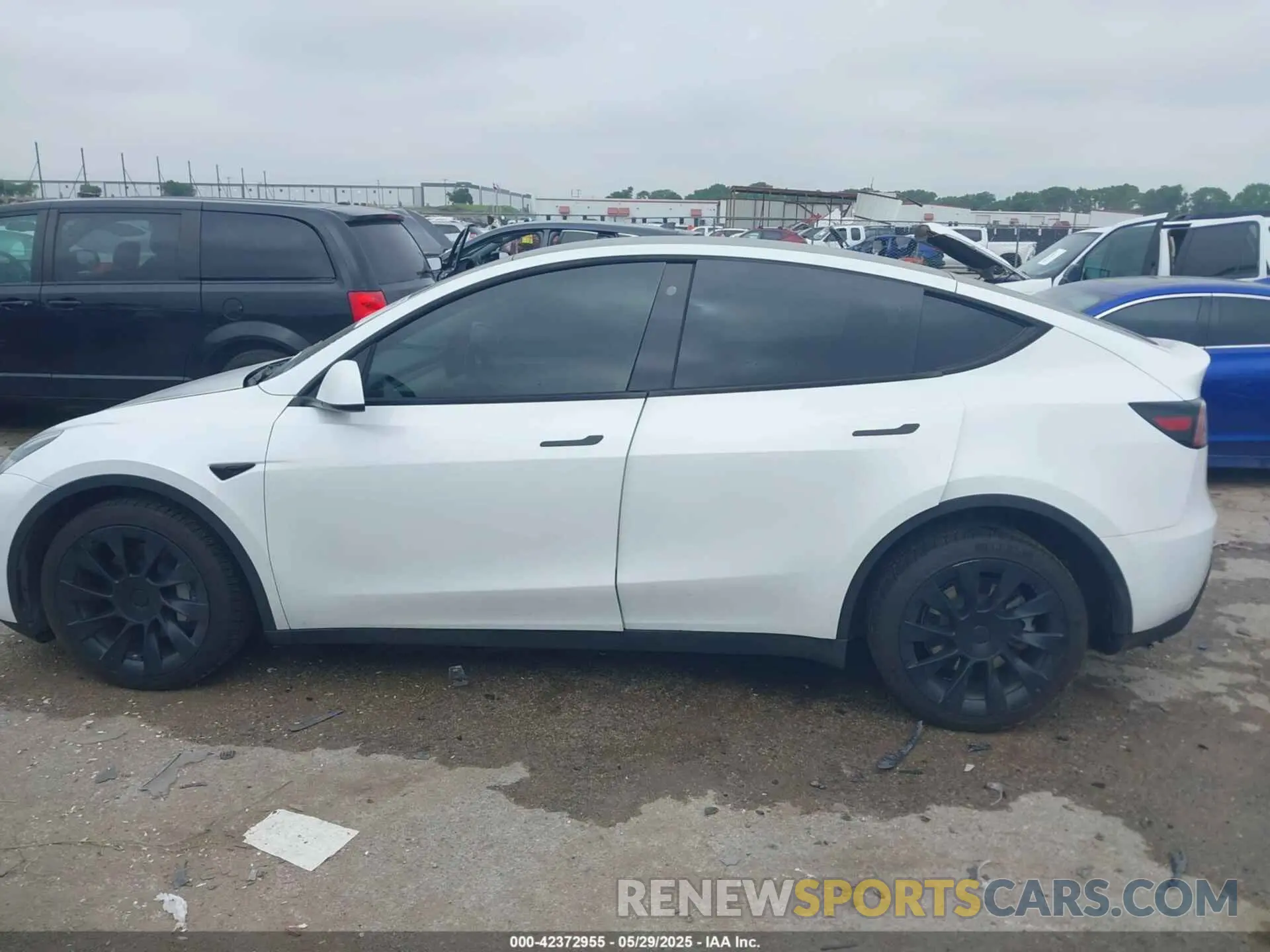 14 Photograph of a damaged car 7SAYGDEE5PA109334 TESLA MODEL Y 2023