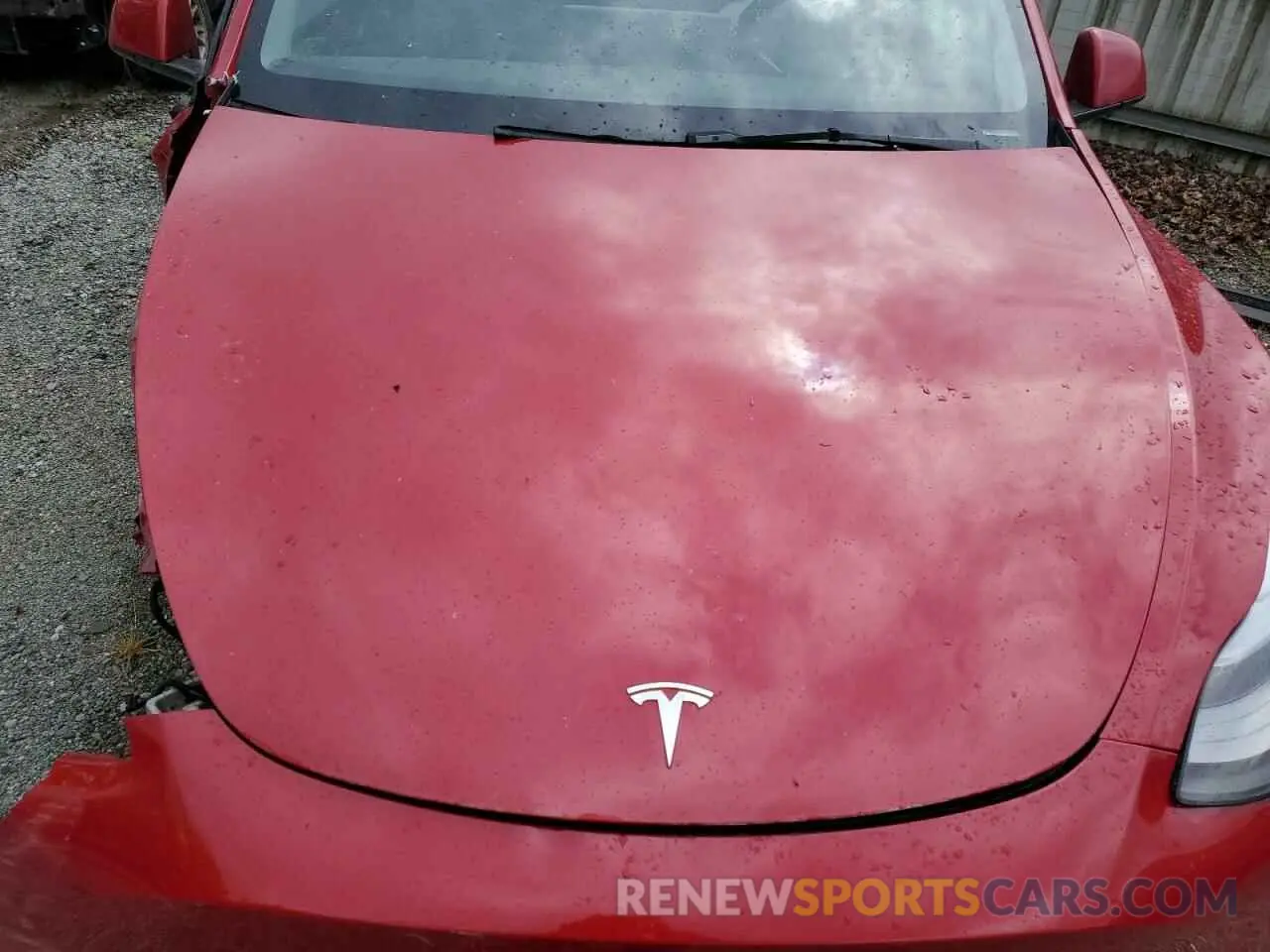 12 Photograph of a damaged car 7SAYGDEE5PF809146 TESLA MODEL Y 2023