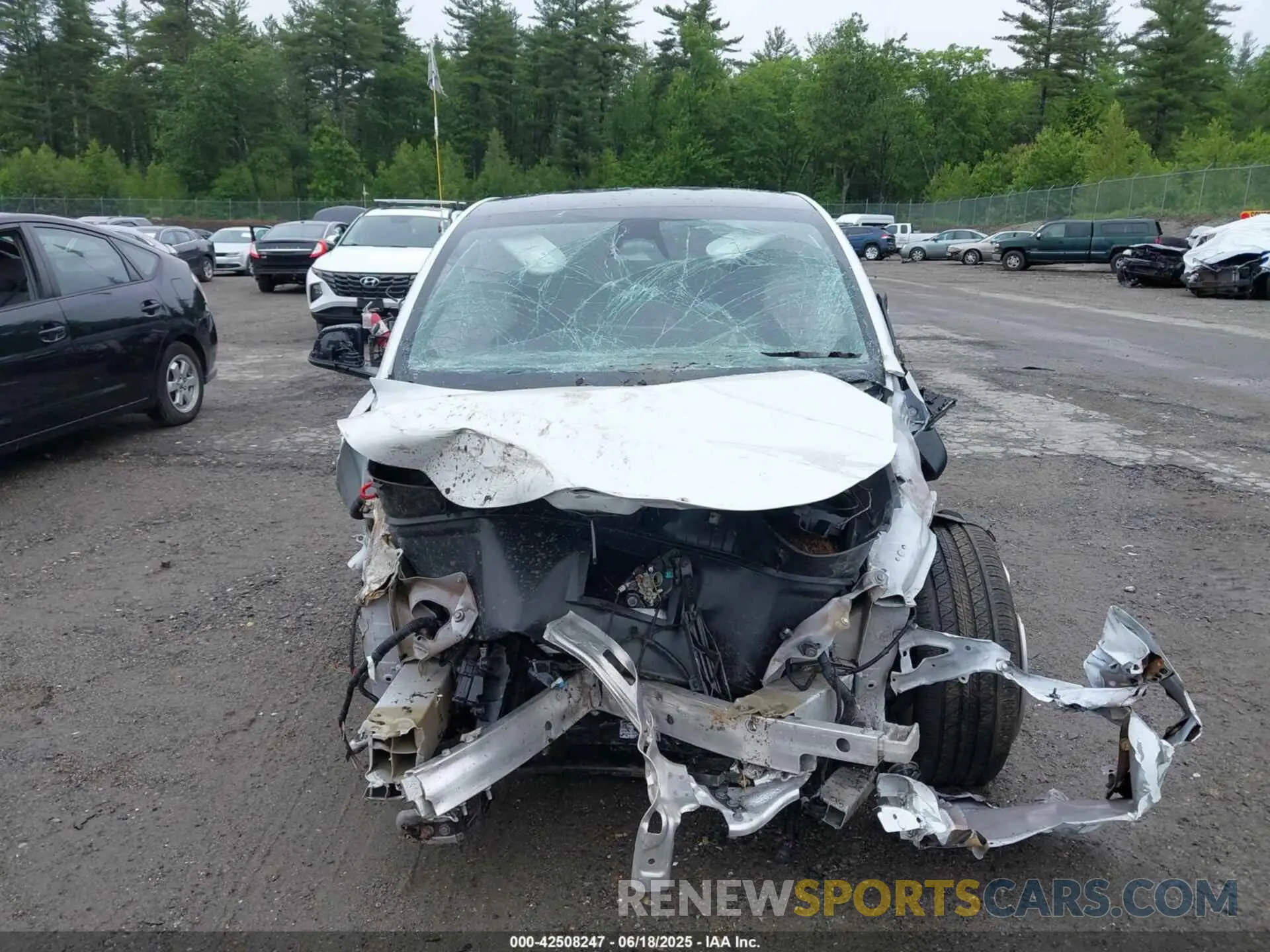 11 Photograph of a damaged car 7SAYGDEE5PF892772 TESLA MODEL Y 2023