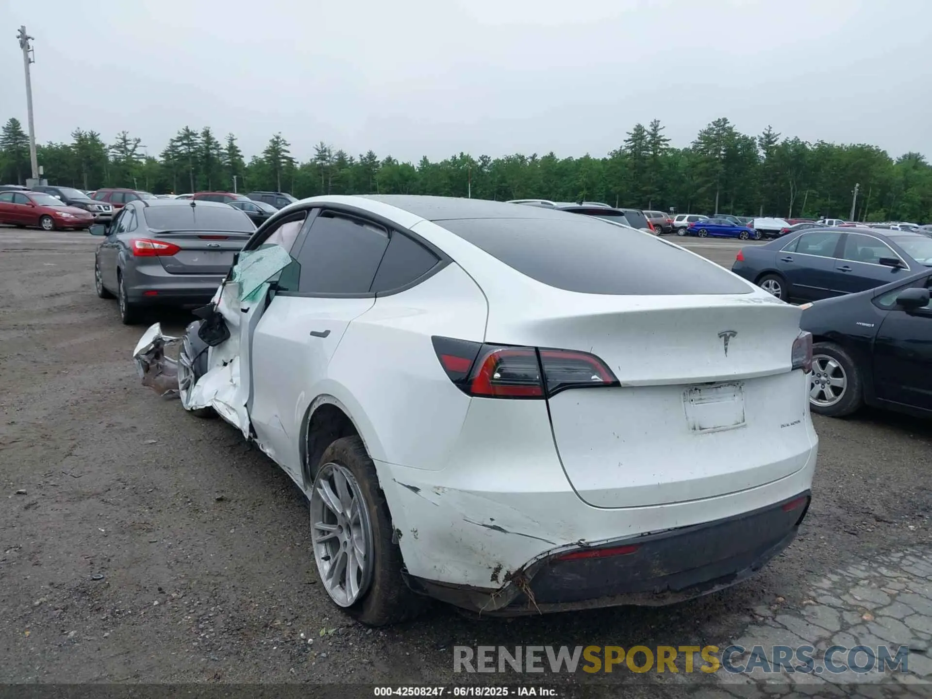 3 Photograph of a damaged car 7SAYGDEE5PF892772 TESLA MODEL Y 2023