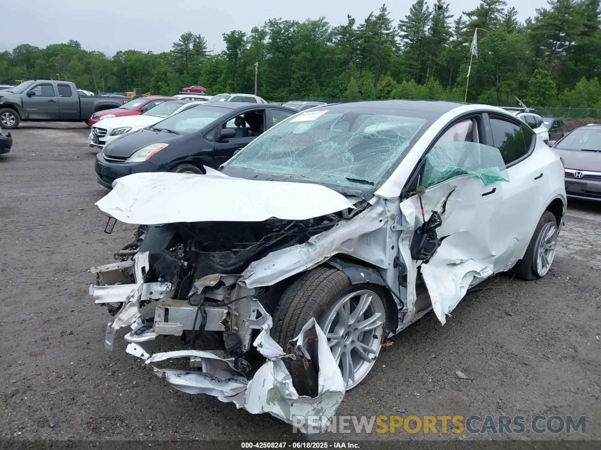 6 Photograph of a damaged car 7SAYGDEE5PF892772 TESLA MODEL Y 2023