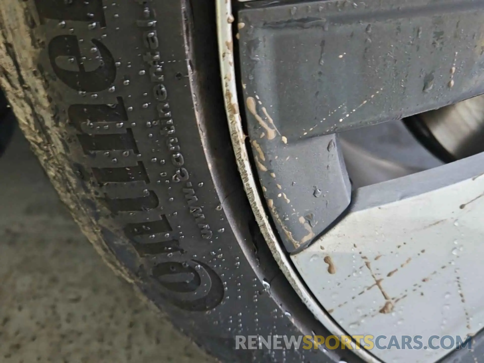23 Photograph of a damaged car 7SAYGDEE6PF764900 TESLA MODEL Y 2023