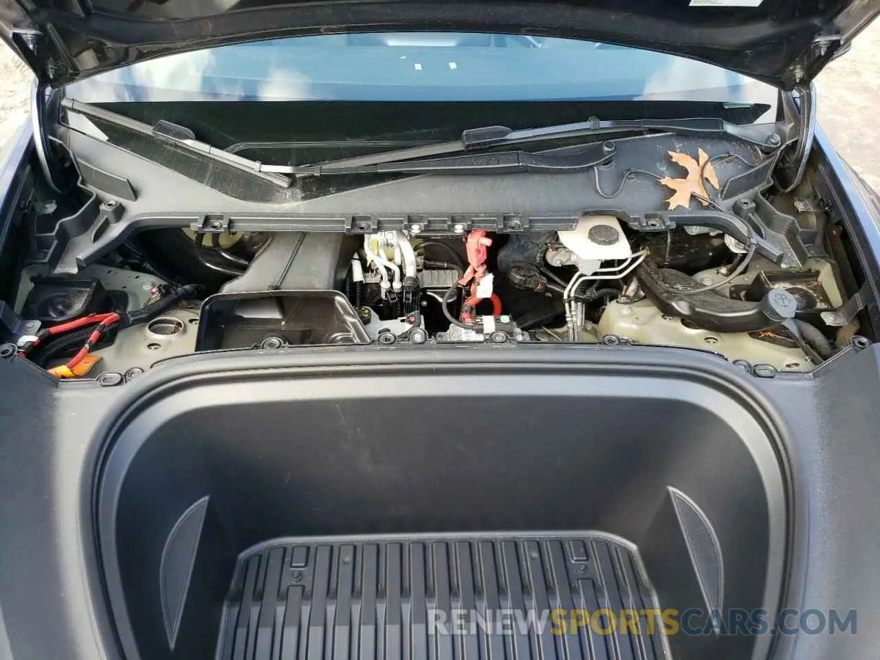 11 Photograph of a damaged car 7SAYGDEE7PF595809 TESLA MODEL Y 2023