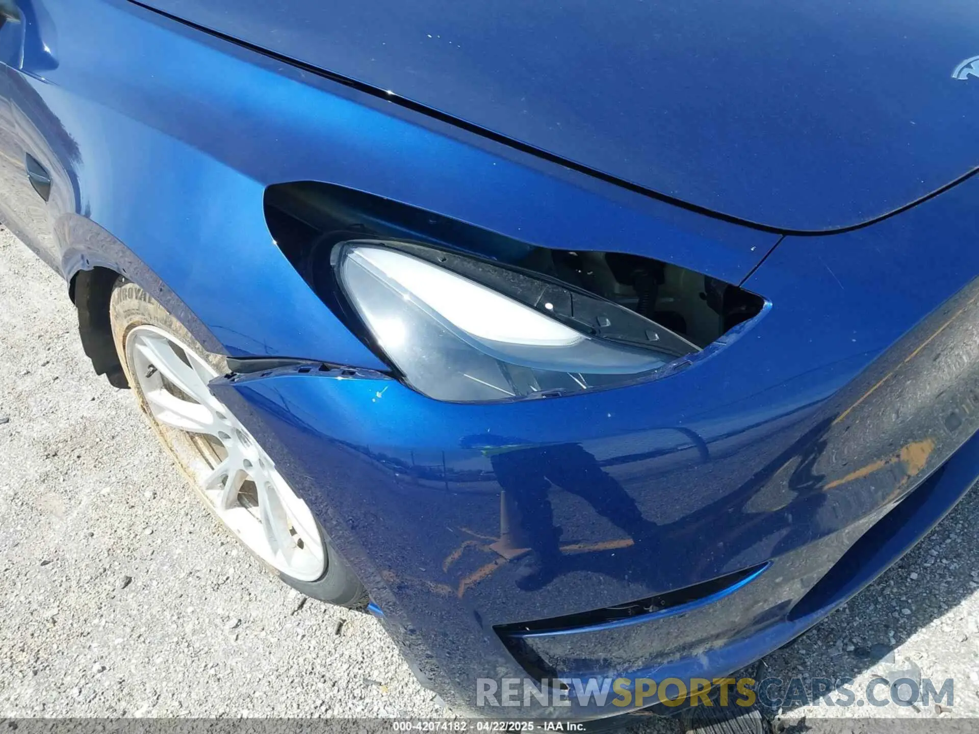 19 Photograph of a damaged car 7SAYGDEE7PF702051 TESLA MODEL Y 2023