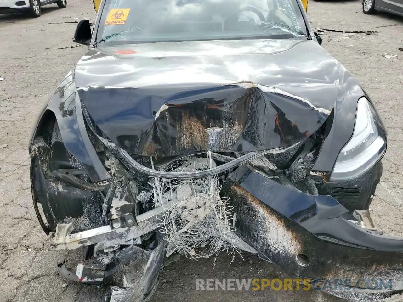 11 Photograph of a damaged car 7SAYGDEE8PA028098 TESLA MODEL Y 2023