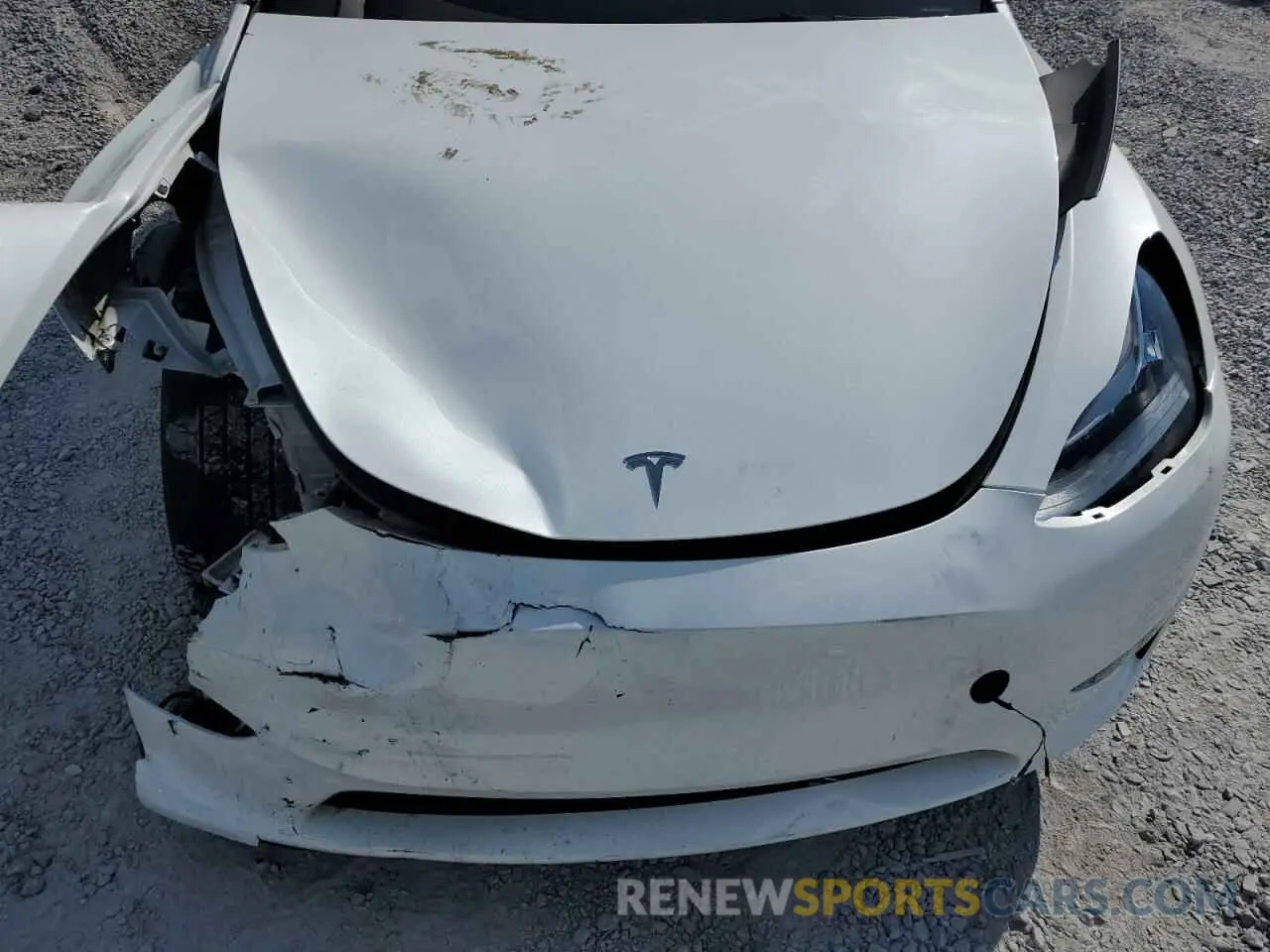 11 Photograph of a damaged car 7SAYGDEE8PA080752 TESLA MODEL Y 2023
