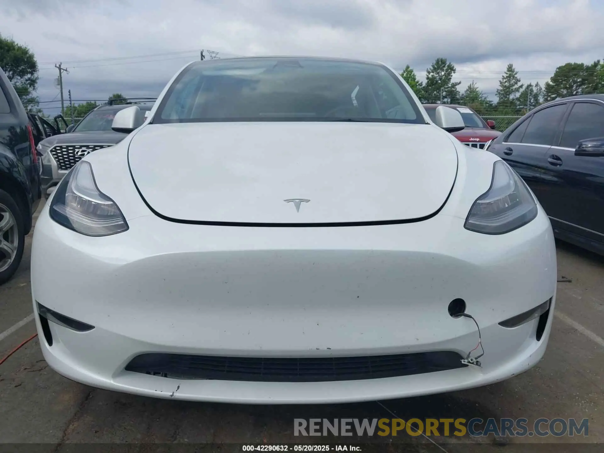 12 Photograph of a damaged car 7SAYGDEE8PA100711 TESLA MODEL Y 2023