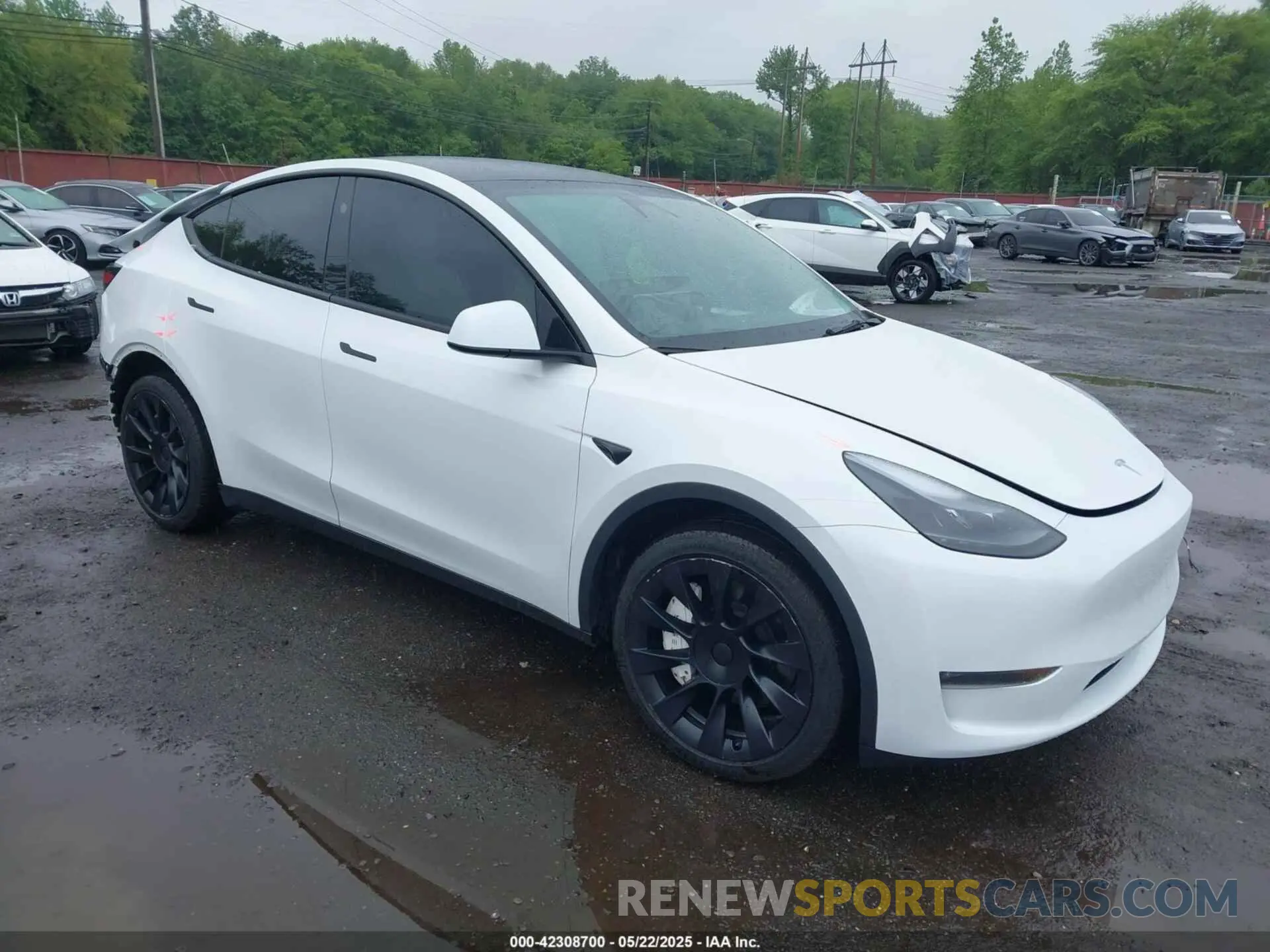 1 Photograph of a damaged car 7SAYGDEE8PA172217 TESLA MODEL Y 2023