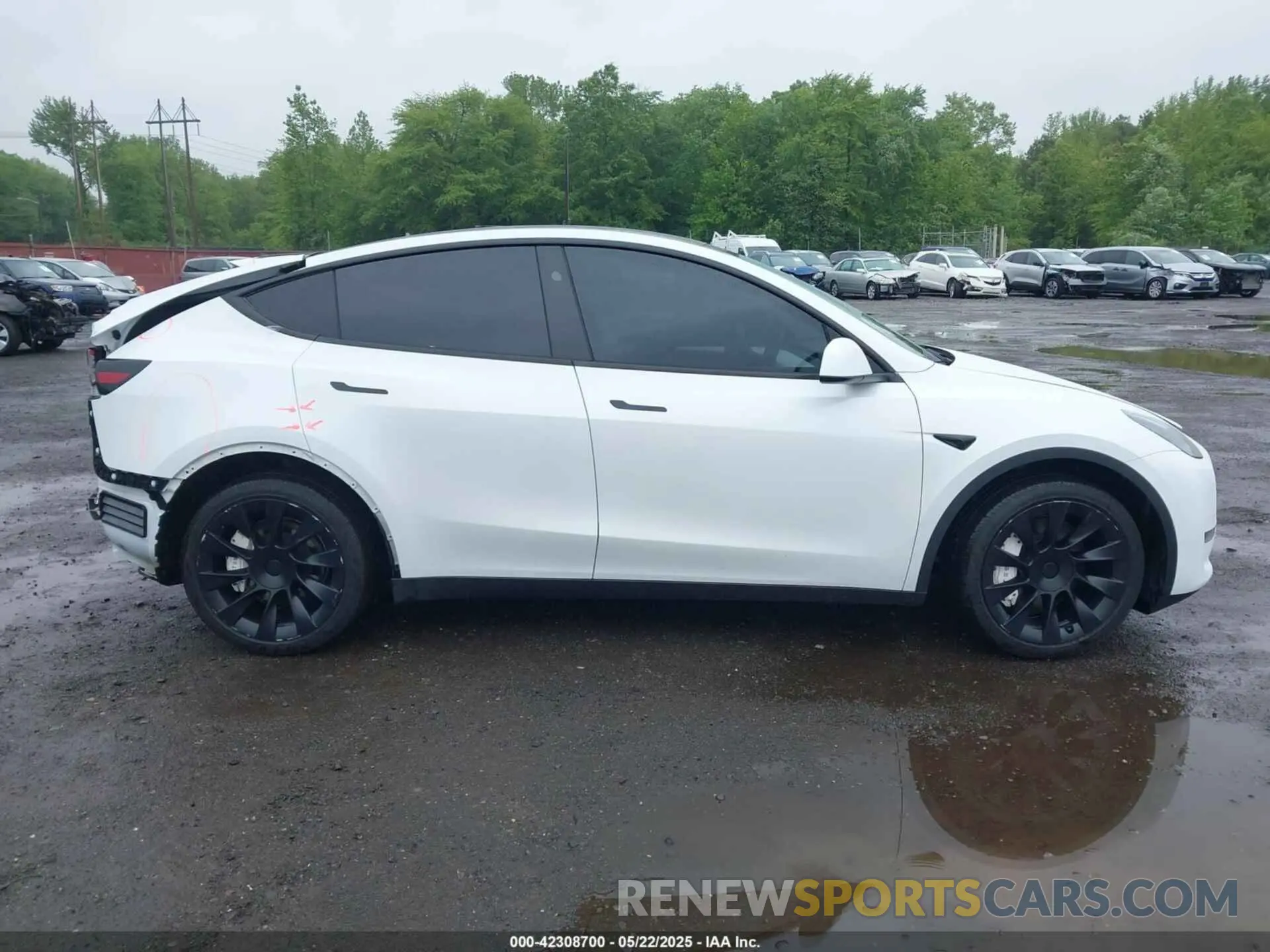 13 Photograph of a damaged car 7SAYGDEE8PA172217 TESLA MODEL Y 2023
